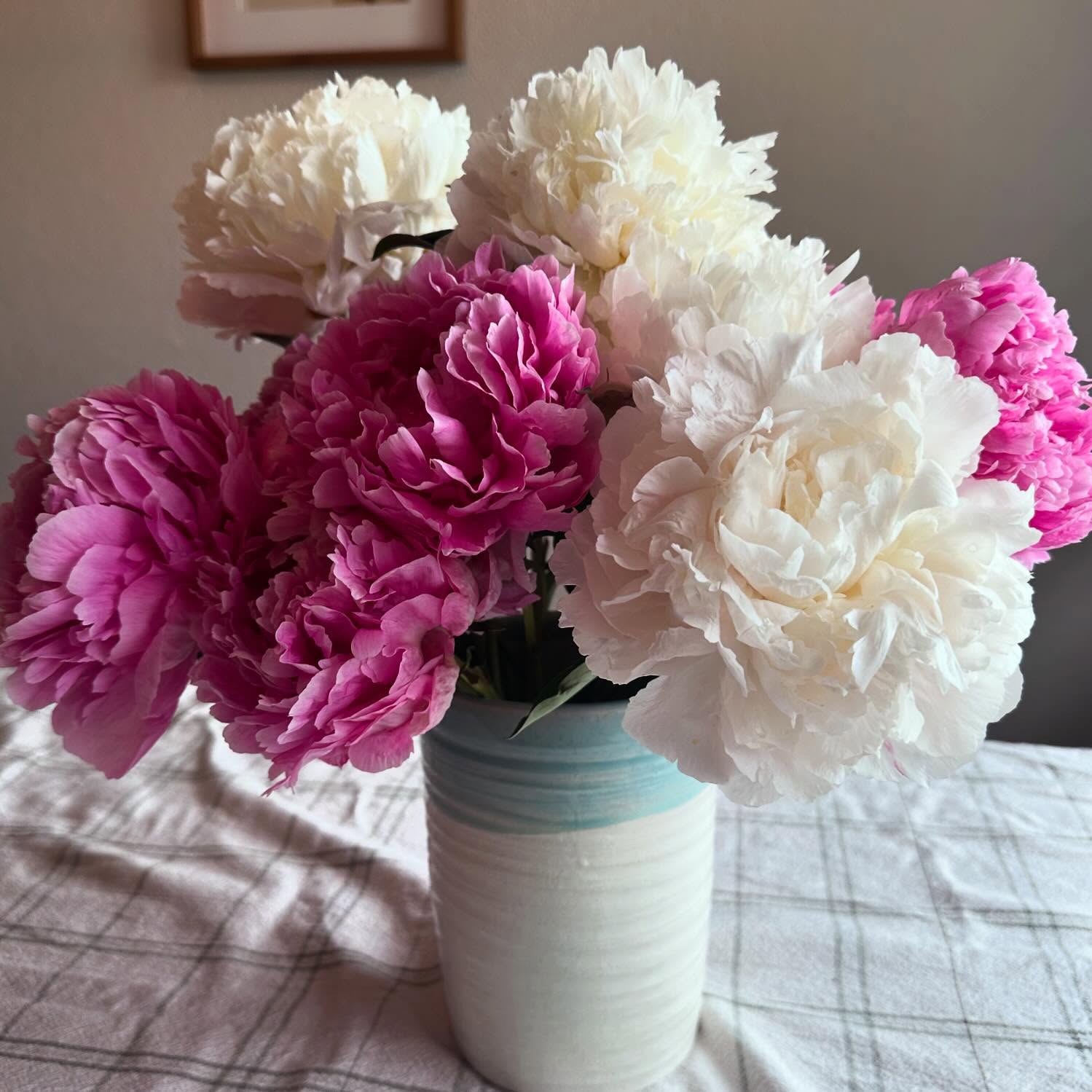 Better late than never! For some reason my peonies were the last around to bloom…but I’d say they’re worth the wait! #wellgrownflowers #wellgrownfarm #localflowers #peonies