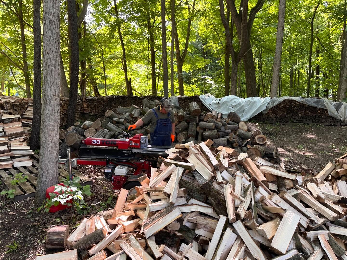 A day of splitting and stacking- we still have quite the pile to get through, but made some headway! #michigansmallbusiness #firewood #firewoodseason #riveraridge