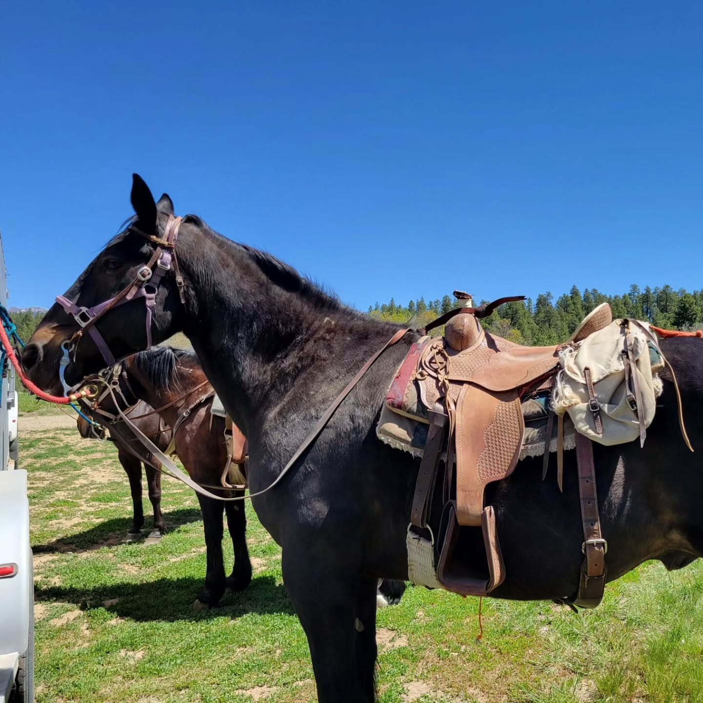 We are officially open!!!
We want to thank our riders from West Virginia and Florida, who joined us to kick off the season.
** please refer to majestic-outfitters.com or our Facebook page for your booking
#pagosaspringscolorado#horses#trailrides#pagos#Colorado#coloradovacation