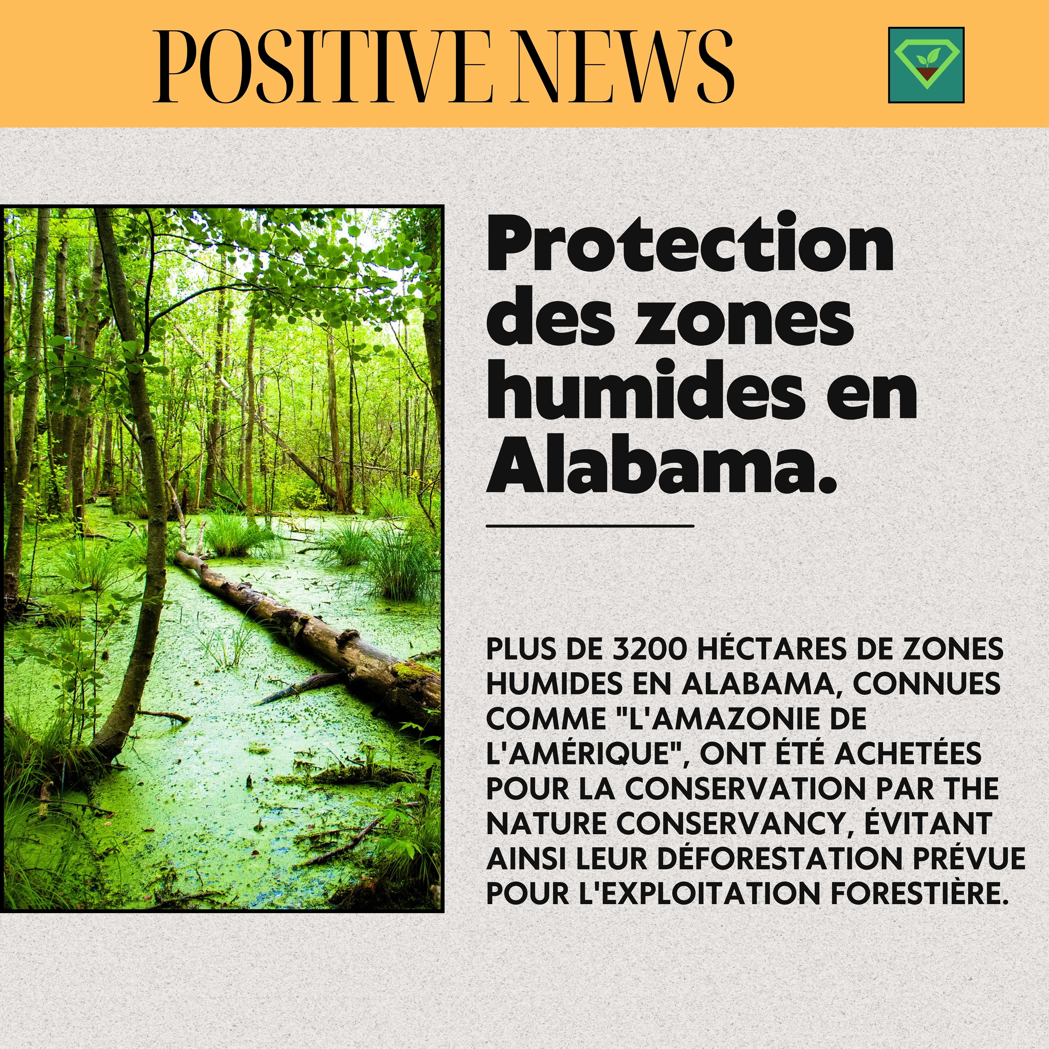 #savoir#histoire#insolite#lesaviezvous#greenisyou#info#culturegenerale#nouvellespositives#environnement#nature#alabama#zoneshumides#exploitationforestiere#positivenews#etatsunis