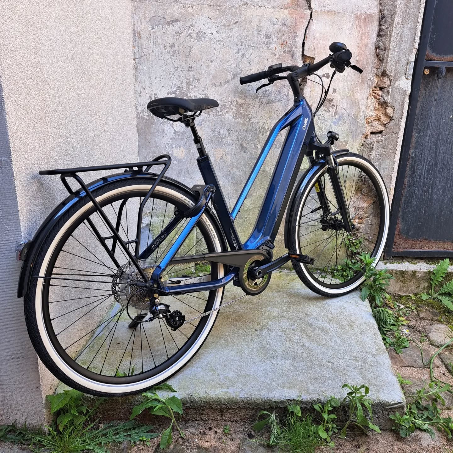 Un coloris rare pour ce iSwan 6.1 de chez @o2feel.ebikes ! 🤩🤩
Le Bleu Cosmique ✨️
Moteur puissant et fiable, batterie grande autonomie fabriquée en France.
Parfait pour un quotidien exigeant et les longues distances 👌
Disponible au magasin.
#o2feelbikes #ebike #iswan #frenchbike #verriereslebuisson #pourmonvelo #bikecommuting #urbanbike
