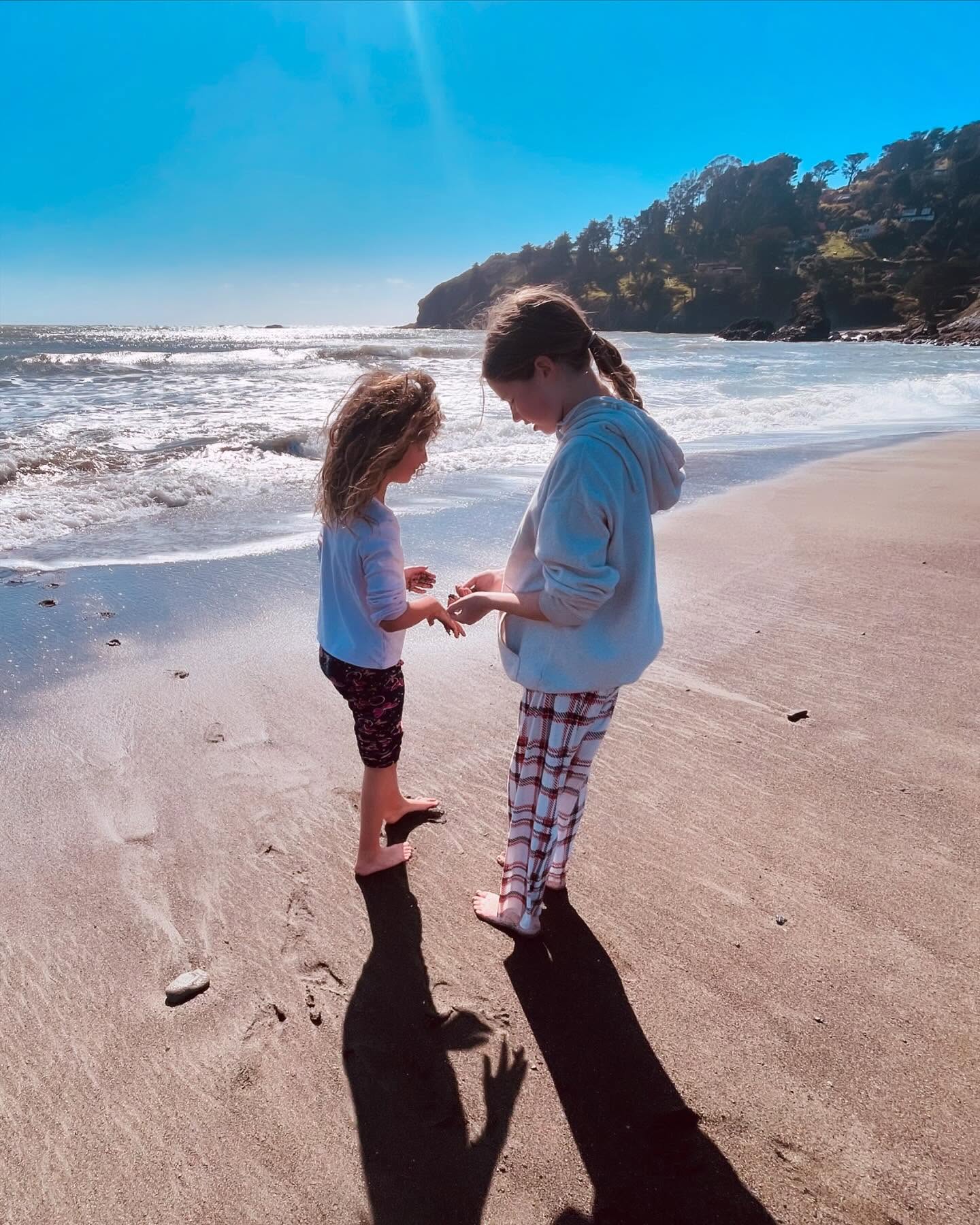 We are so lucky to have both the ocean and the trees and endless nature to explore around Mount Tam 🍃🦋🌲❤️