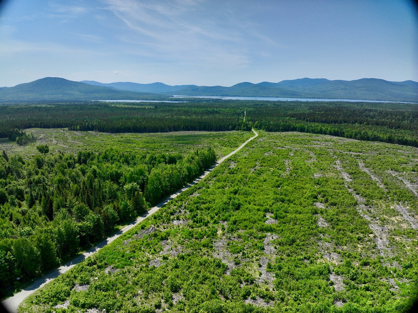 Scouting sites for conifer release uav spray program 🌲
#agdrones #dji #forestrydrones #forestrymanagement