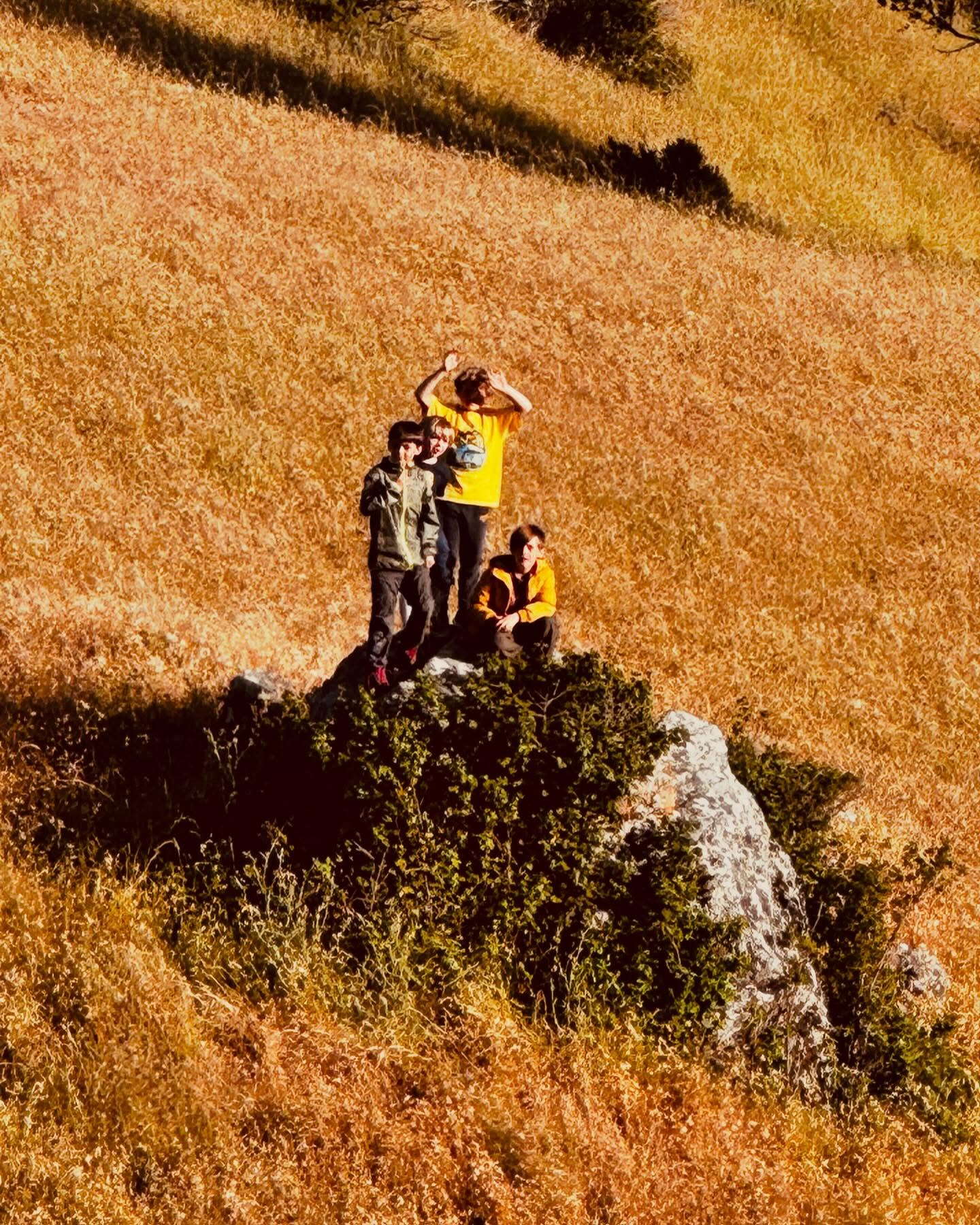 Kids “Look at us Mom!!! We made it to the rock”
Parents “ oh no! That’s poison oak!!!”
(Kids survived unscathed)