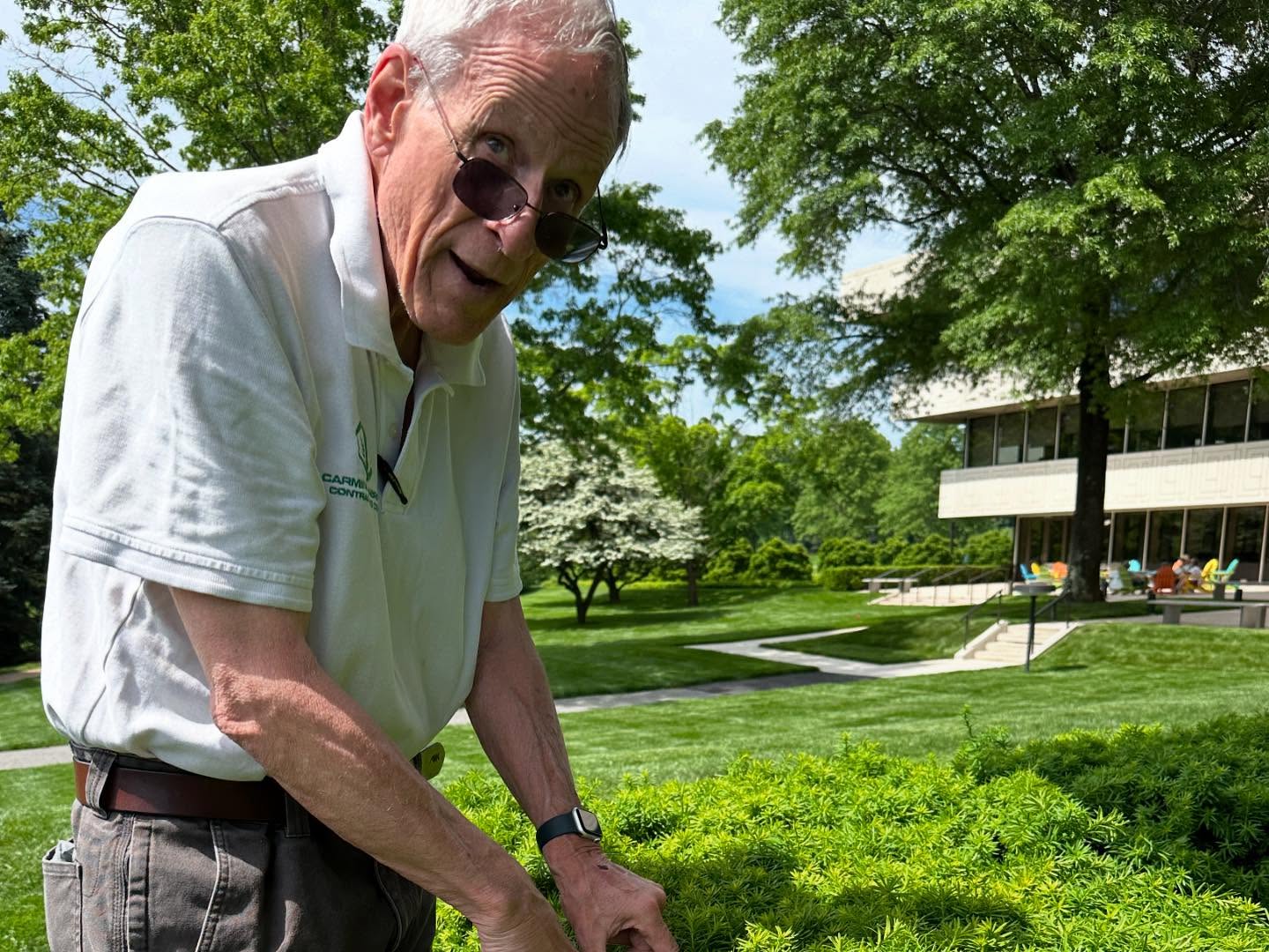 Meet Larry. His landscaping firm has been maintaining @pepsico ‘s sculpture garden for 50 years! He ran into three landscape nerds who were admiring a corner of the grounds and started a conversation. Three hours later he had walked us through the remaining sculpture grounds explaining how they maintain things - from the batter on the yews, the edge of the pond, and the design ethos of certain areas. Russel Page sketched areas on a napkin with his father! It’s a joy when landscape people find one another and hit it off. Thanks for the information, the laughs, and a memory we’ll never forget, Larry! #landscapearchitecture #pepsico #pepsicosculpturegarden #landscapelovers #landscapephotography #sculpture #taxus #labriolalandscaping