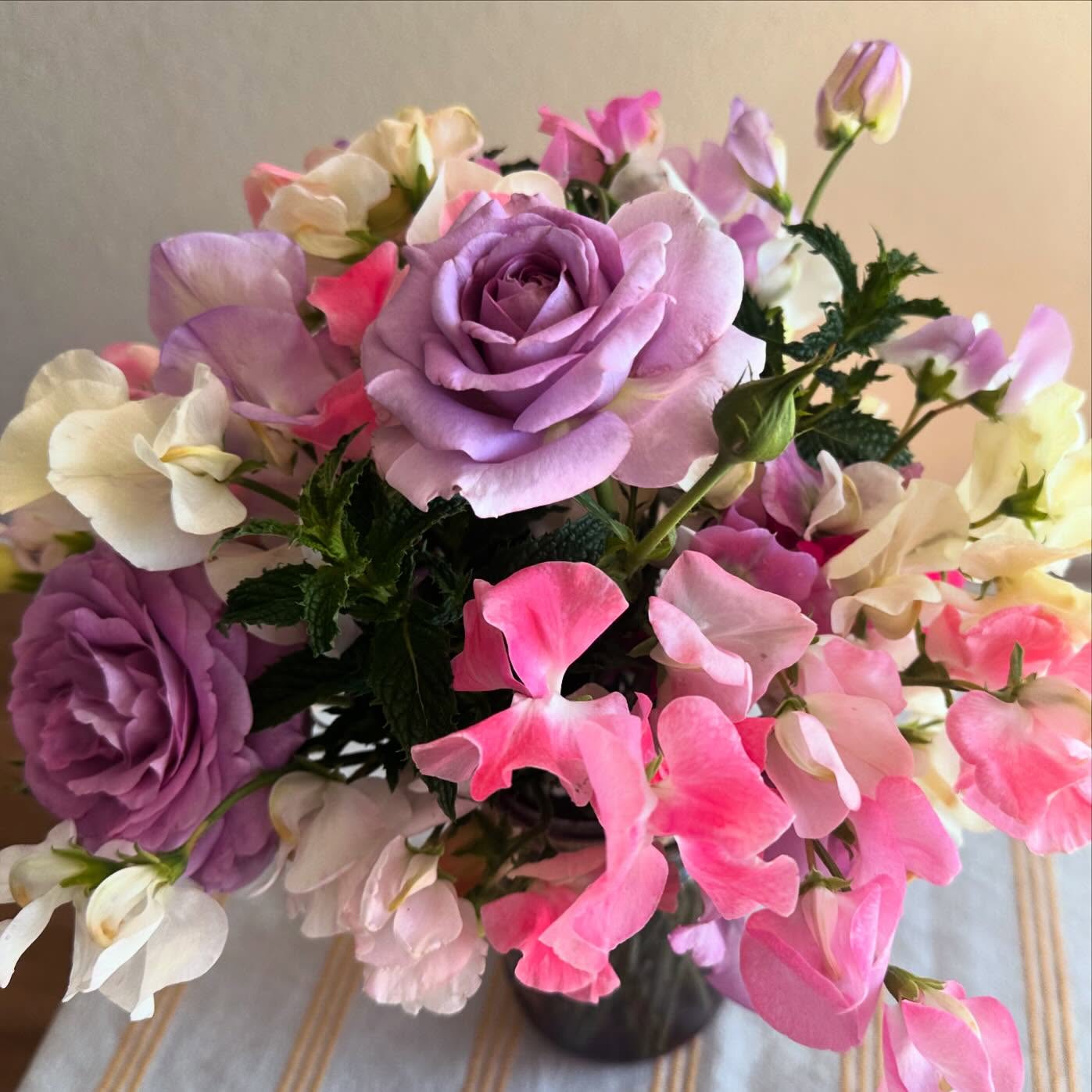 Hey guess what? It’s sweet pea time! That means we’re getting soooo close to subscription deliveries starting! If you’ve got a subscription, stay tuned - and if you want in on one, let me know. (Also, we do sell single bouquets or straight bunches if you’re afraid of commitment - trust me, I feel you on that one!) #wellgrownflowers #wellgrownfarm #localflowers