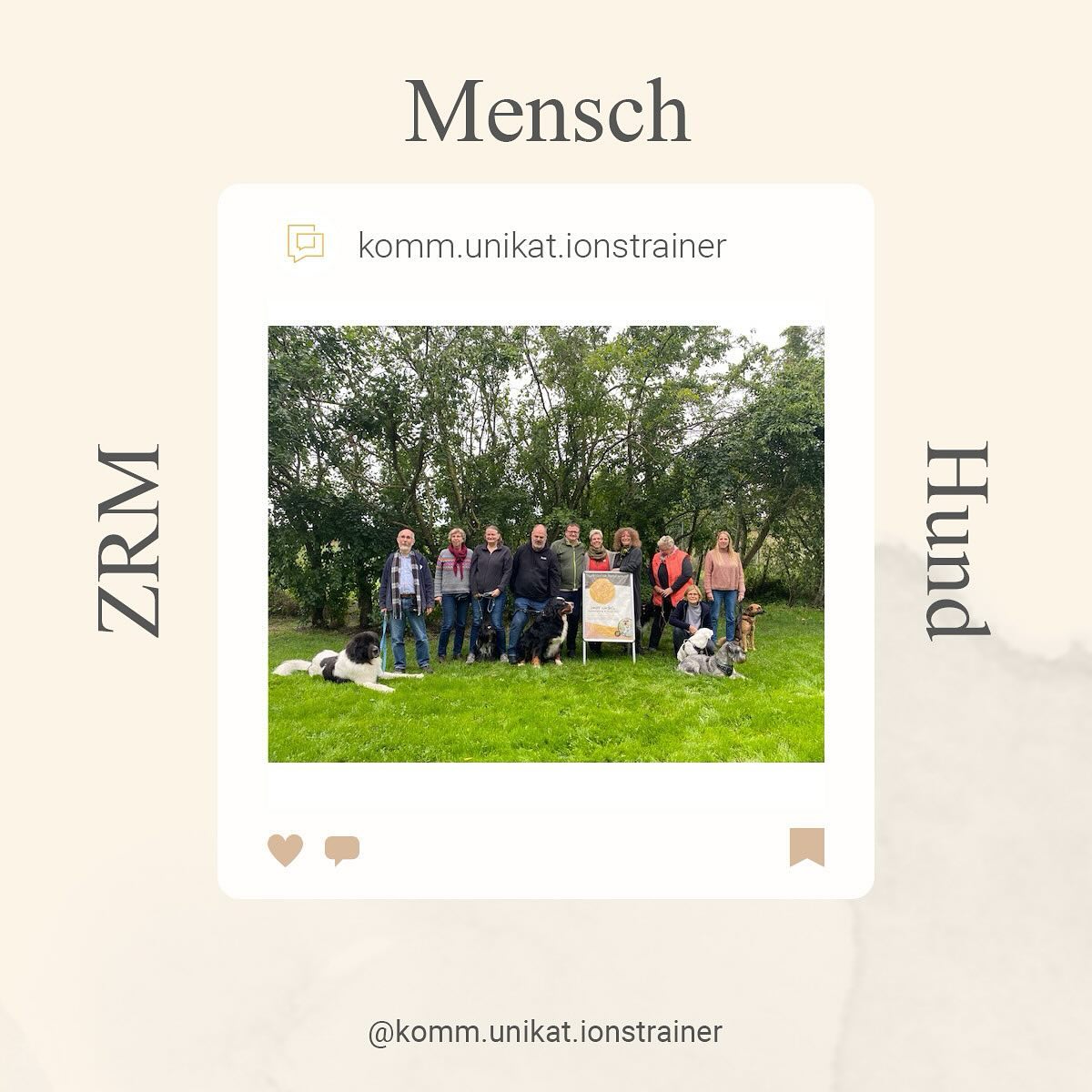 Verändere dich und du veränderst deinen Hund! Wie das geht? Erfährst Du vom 28.06. 14:00 Uhr - 30.06. 15:30 Uhr in Ratekau. #ratekau #morimarihundeclub #morimarihundetraining #timmendorferstrand #hamburg #zrm #zrmmenschhund #hundetraining #hundetrainer #hundetrainerin #lübeck