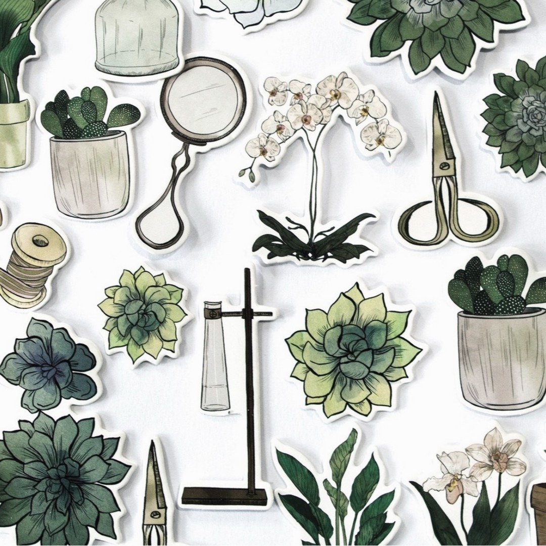 Introducing; ‘Botany ‘Boutique’ a brand new illustrated collection released in partnership with @craftconsortiumltd This is my thirteenth instalment in our exclusive partnership. This collection has an array of delicately drawn botanicals featuring on trend imagery of exotic florals, tropical house plants, palm leaves and succulents seen in every boutique plant shop.
Another nature based collection in a new darker colour palette expressing all things green and tropical in a new contemporary way. The Paper pad contains 30 double sided sheets in heavyweight 200gsm, card stock filled with imagery of Passion flowers, Jasmine, Orchids, Hibiscus flowers, cacti, ferns, house leeks, herbs and all things botany.
The premium collection is supported by a series of coordinating photopolymer stamps, various embelishemtns, rub on transfer stickers and ephemera for or all your papercrafting, scrapbooking, upcycling and home décor pursuits of creativity.
If you want to get your hands on this new ‘Botany Boutique’ collection it is available through a number of leading craft stores, here in the UK, Europe and in the USA. For further details on the collection, please visit the @craftconsortiumltd website: www.craftconsortium.com
We hope you can tune into the exclusive launch being featured on @createandcrafttv tomorrow, Thursday 13th at 3pm (GMT).