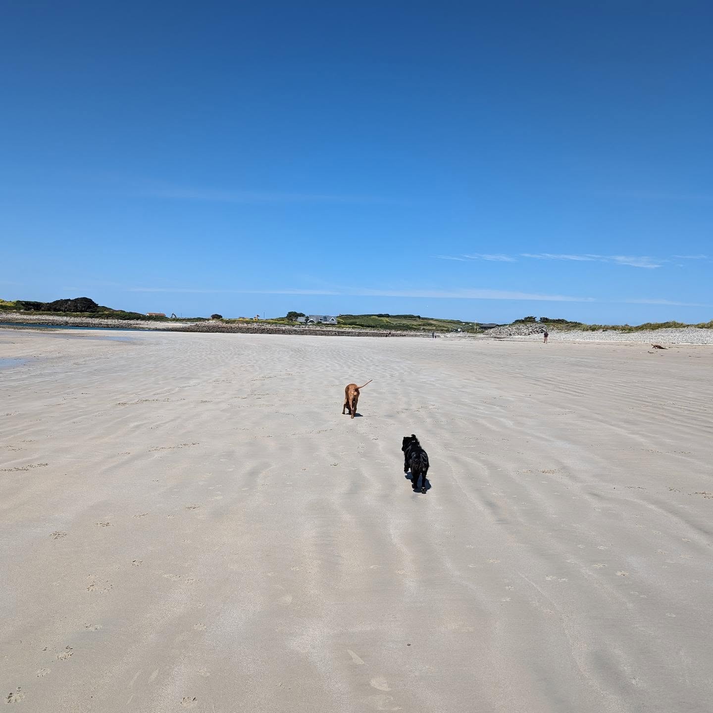 Chouet looked amazing this afternoon.