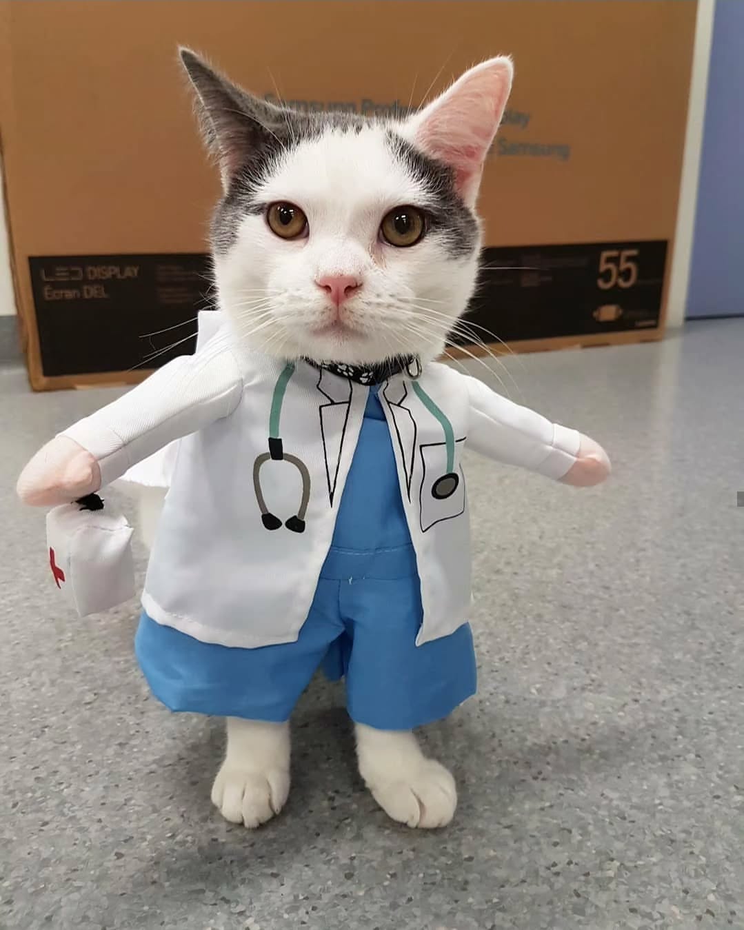 Exciting news! We are now authorised prescribers of Medicinal Cannabis and CBD Oil 🌿
If you would like to know more about how this can benefit your pet with chronic pain, anxiety and more, please refer to the following page on our website http://www.hillsdistrictvet.com.au/medicinal-cannabis-cbd-oil or book a consult via phone, email or through our online booking system to speak to one of our prescribing veterinarians.
*Please note that at this stage only Dr Jane and Dr Cassie are able to prescribe these drugs.