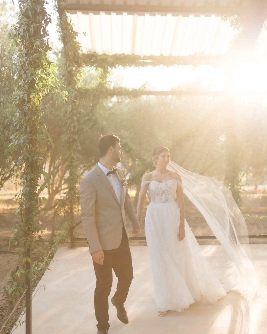 Bathed in golden light //
Jade & Aidan, captured during sunset amidst our serene olive groves 🫒
Ph: @mattcarrphotography