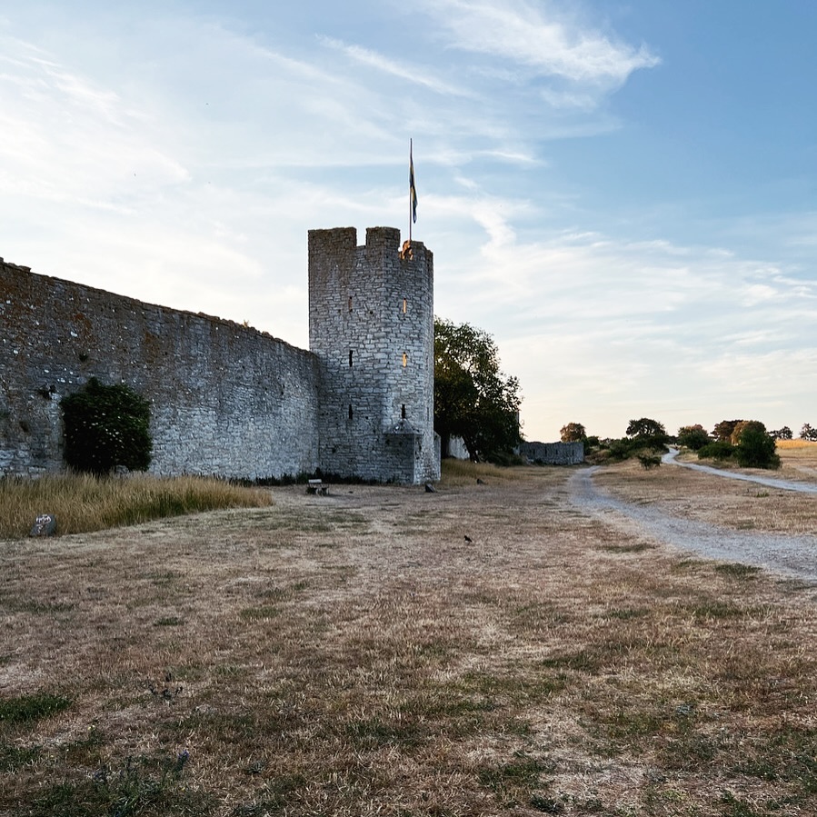 Hemma efter fyra dagar i Visby och Almedalsveckan.
70.000 steg och några dagars hårt jobb är nu avklarade. Och ett gäng glassar har intagits. 🍦😅
Är tacksam att jag har möjlighet att ta mig an denna typ av uppdrag ibland bara för att jag tycker att de är roliga. Även om att jobba med event inte är min nisch idag så är jag glad att kunna hoppa in ibland.
Men det är slitsamt så skulle inte palla det på heltid längre. Man är ju inte 25 längre. 😅
Nu har jag en veckas jobb kvar sen blir det semester. 🙌🏼
#egenföretagare #drivaeget #kvinnligföretagare #entreprenörskap #entreprenörsliv #egetföretag