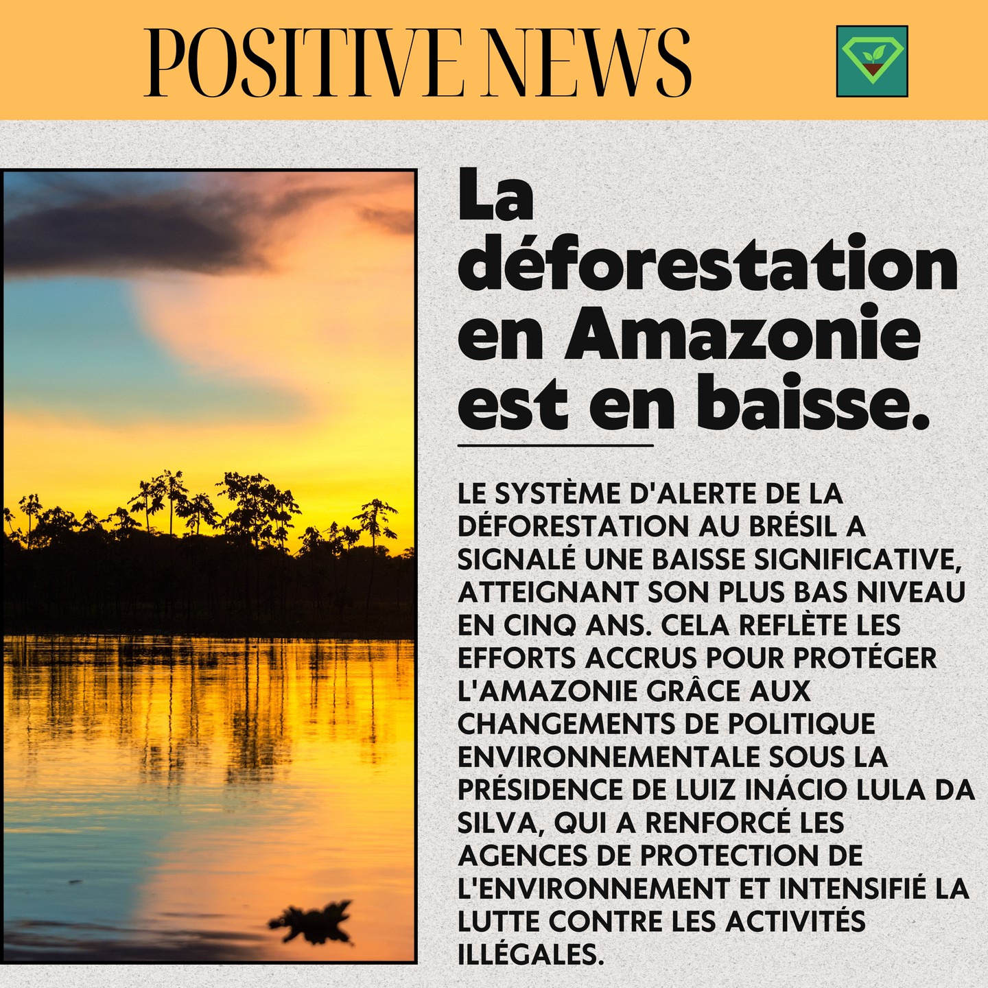 #savoir#histoire#insolite#lesaviezvous#greenisyou#info#culturegenerale#nouvellespositives#environnement#bresil#foretamazonienne#amazonie#deforestation