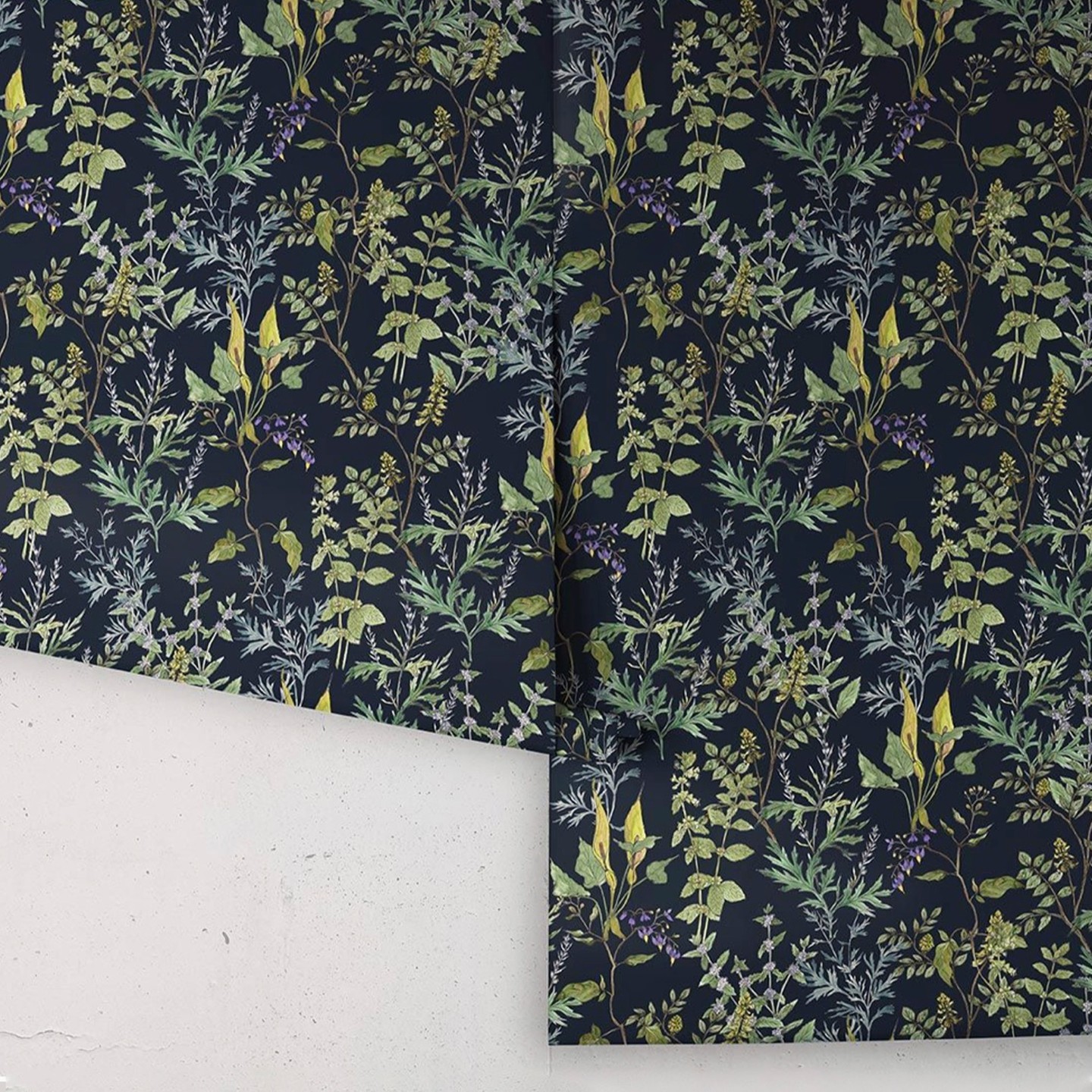 Introducing 'Woodland Floral'
wallpaper this design features a captivating blend of bright leaves and shadowy plants, creating a harmonious and enchanting atmosphere. The vibrant shades of green, reminiscent of lush foliage, infuse the space with a sense of freshness and vitality. These hand painted lively hues transport you to a serene woodland, where the play of sunlight through the leaves creates a dance of light and shadow. The design showcases a variety of botanical elements featuring the delicate flora of the woodland floor from lords & ladies to mugwort, water mint and the liquorice plant.
Woodland Floral is available in 5 different colour ways , Linen, Antique Grey, Green Navy and Stone
My wallpaper designs are available to purchase Worldwide from @miltonandking
Sourced from FSC Certified Forests and printed with water-based ink. Non-wovens are earth friendly, and totally 100% vinyl-free.