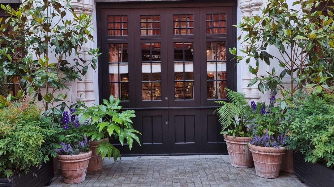 Summer planting at the Chiltern Firehouse looking abundant #tuliplandscapes #plantingdesigner #plant #londongardens #hotel #londonhotel #gardeninspiration #citygarden #chilternfirehouse #chilternfirehouselondon #englishgardens #plantingdesigner