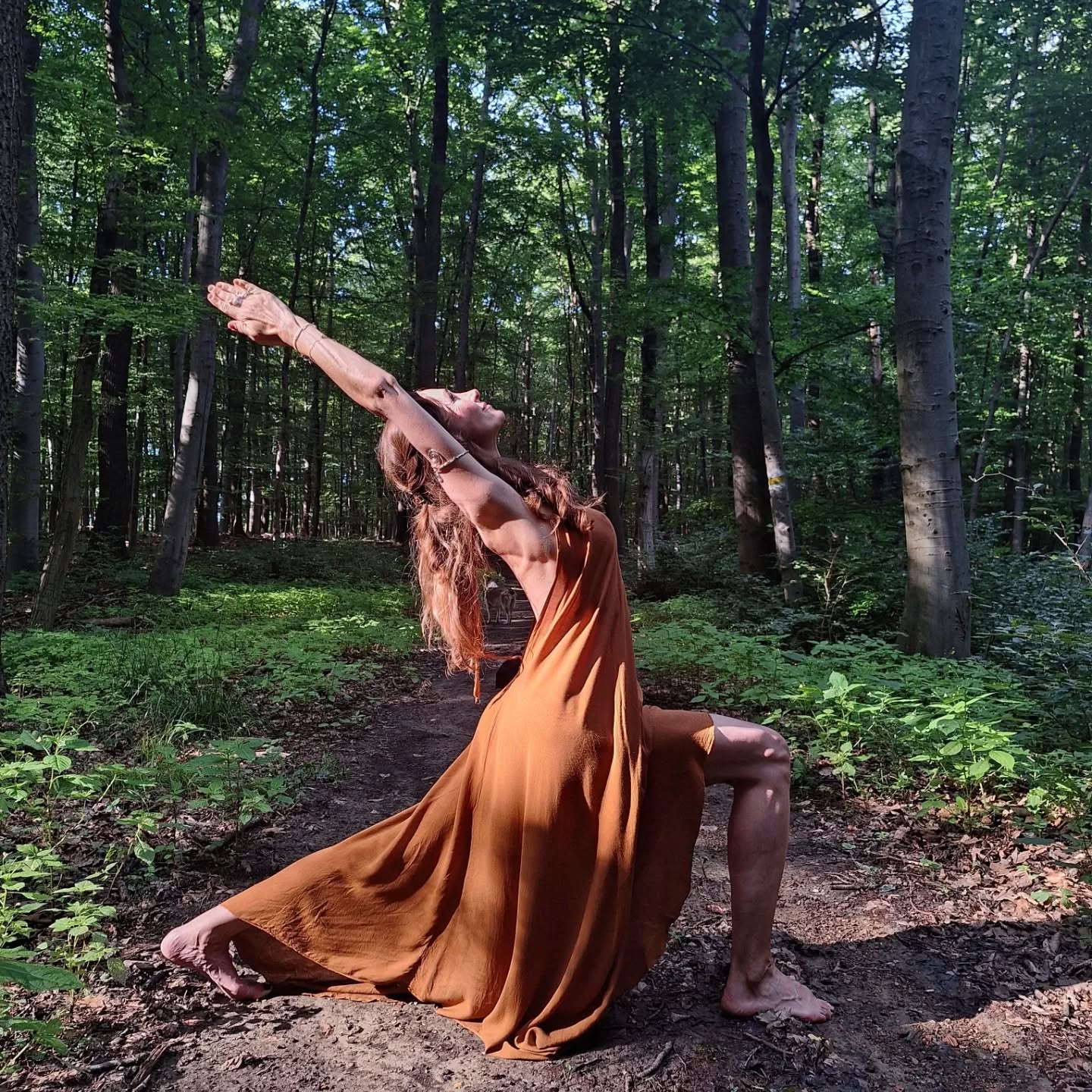 Going to the woods is going home 🌳🦌🤎
#naturelovers #yogaandnature #yogalover #forestlovers #animalslover #natureheals #yogaheals #respectmothernature #beaware #bejoyful #bemindful #beherenow #dotriyoga #dotriflow