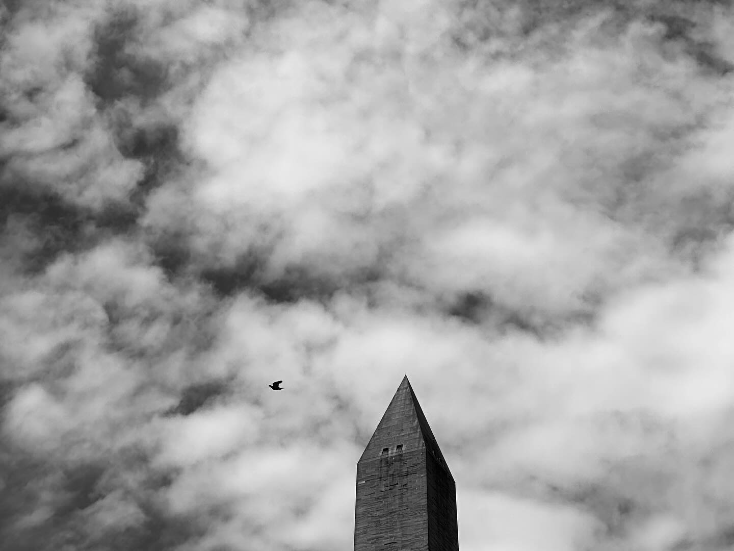 Washington DC in black and white - the way in which its politicians view the world. #washingtondc #uspolitics #experiential