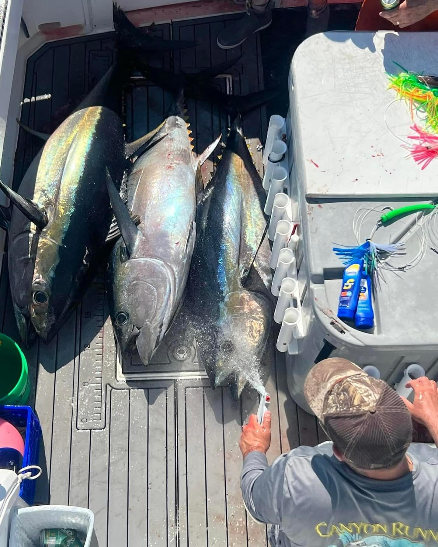 Capt J ran the canyon runner on Monday for a lights out trip. Few longfins at first light, followed by 3 for 4 on bigeyes that were from 130 to 200. Then picked 7 yellowfins through out the day. Tunas are here n chewing. Call to reserve your tuna dates. 561 578 2710 #sidejobcharters #tuna #tunafishing #bluefintuna #yellowfintuna #longfintuna #bigeyetuna #njfishing #bogansrods #reelseat #pennfishing #manasquaninlet #squan
#ptpleasant