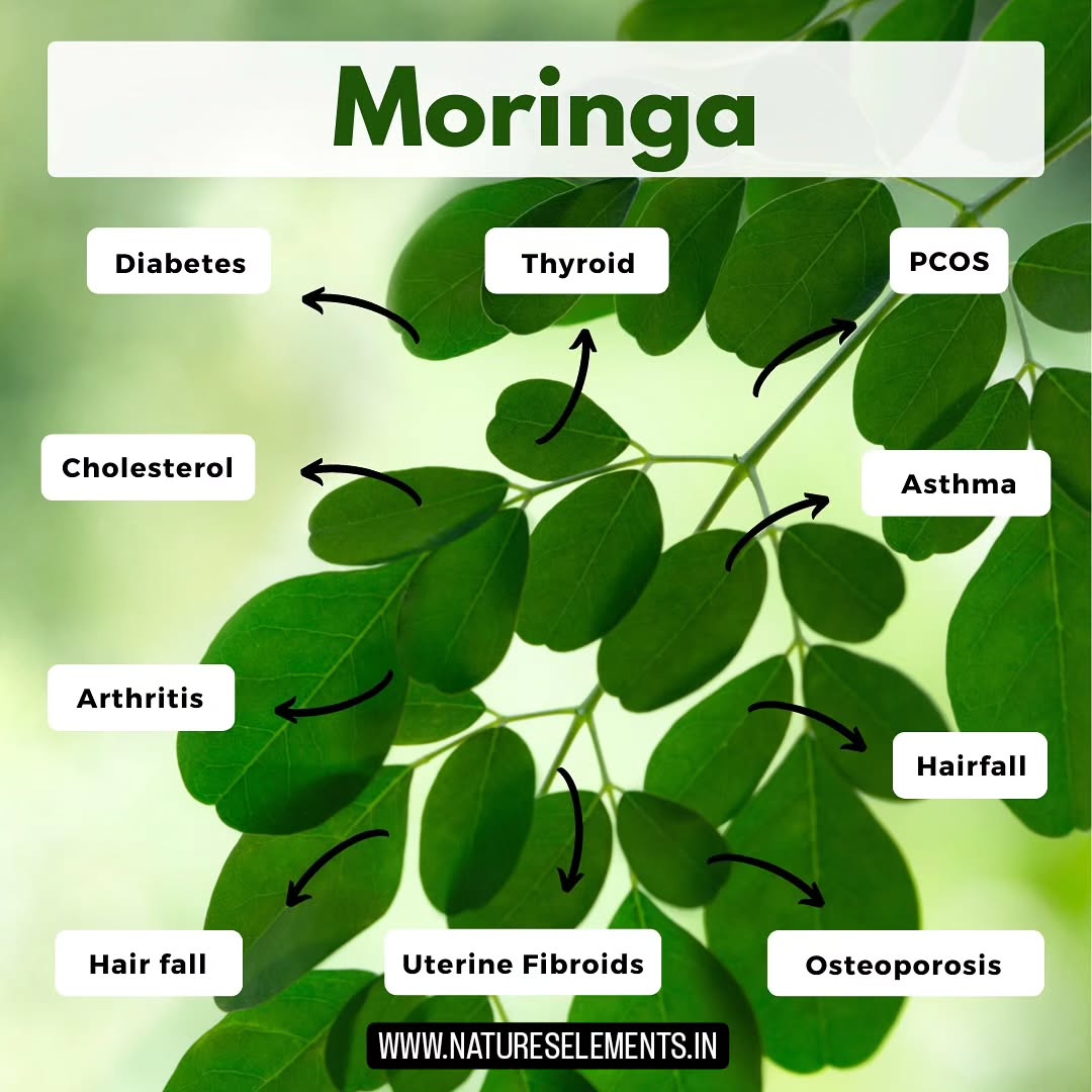 ✍️Comment DETOX to receive the details for the Best quality Moringa Powder to kickstart your healing journey!
Here’s why Moringa is so beneficial:
🌿 Liver Health: Moringa protects the liver from damage caused by toxins and supports its function. Its high antioxidant content reduces oxidative stress, promoting liver regeneration and overall health.
🌿 Detoxification: Moringa’s detoxifying properties help cleanse your body by eliminating toxins and heavy metals, boosting your energy levels and enhancing your skin’s radiance.
🌿 Gut Health: Rich in fiber and natural anti-inflammatory compounds, Moringa supports a healthy gut by improving digestion, reducing inflammation, and promoting the growth of beneficial gut bacteria.
🌿 Insulin Response: Moringa helps regulate blood sugar levels by improving insulin sensitivity and lowering blood glucose levels, making it a valuable addition to diets aimed at managing or preventing diabetes.
🌿 Weight Loss: Moringa boosts metabolism and reduces fat formation. Its high fiber content helps you feel full longer, curbing overeating and promoting a healthy weight.
How to take Moringa:
1️⃣ Dried Powder: Add it to smoothies, teas, or sprinkle it over your meals to enjoy its benefits.
Nature's Elements’ Ayurvedic experts can help you incorporate Moringa into your diet and health plan for optimal wellness. Experience improved liver function, better digestion, balanced blood sugar levels, and successful weight management with the help of this potent superfood.
💛 Save and share to spread the word!
💌 Follow @natureselements.in for more Ayurvedic wellness tips!
#MoringaBenefits #LiverHealth #Detoxification #GutHealth #InsulinResponse #WeightLossJourney #AyurvedicHealing #NaturalWellness #HealthyLiving #Superfood #WellnessJourney #AyurvedaLifestyle #HerbalRemedies #HealthyHabits #MedhyaHerbals
Reposted from @medhyaherbals