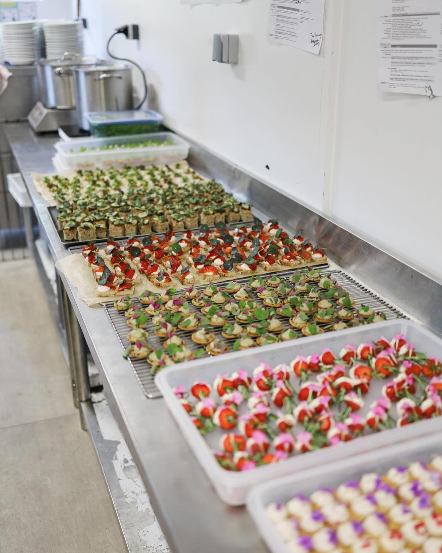 Dressage 🍦
Où quand on a jamais assez de boites ni de plateaux 😅
#mariage #cocktailmariage #mariagevege #mariagevegan #mariagevegetalien #mariagebretagne #mariagemorbihan #backstage #primesautier #traiteurmariage #dressage #mariageresponsable #mariagegreen #mariagevegetal