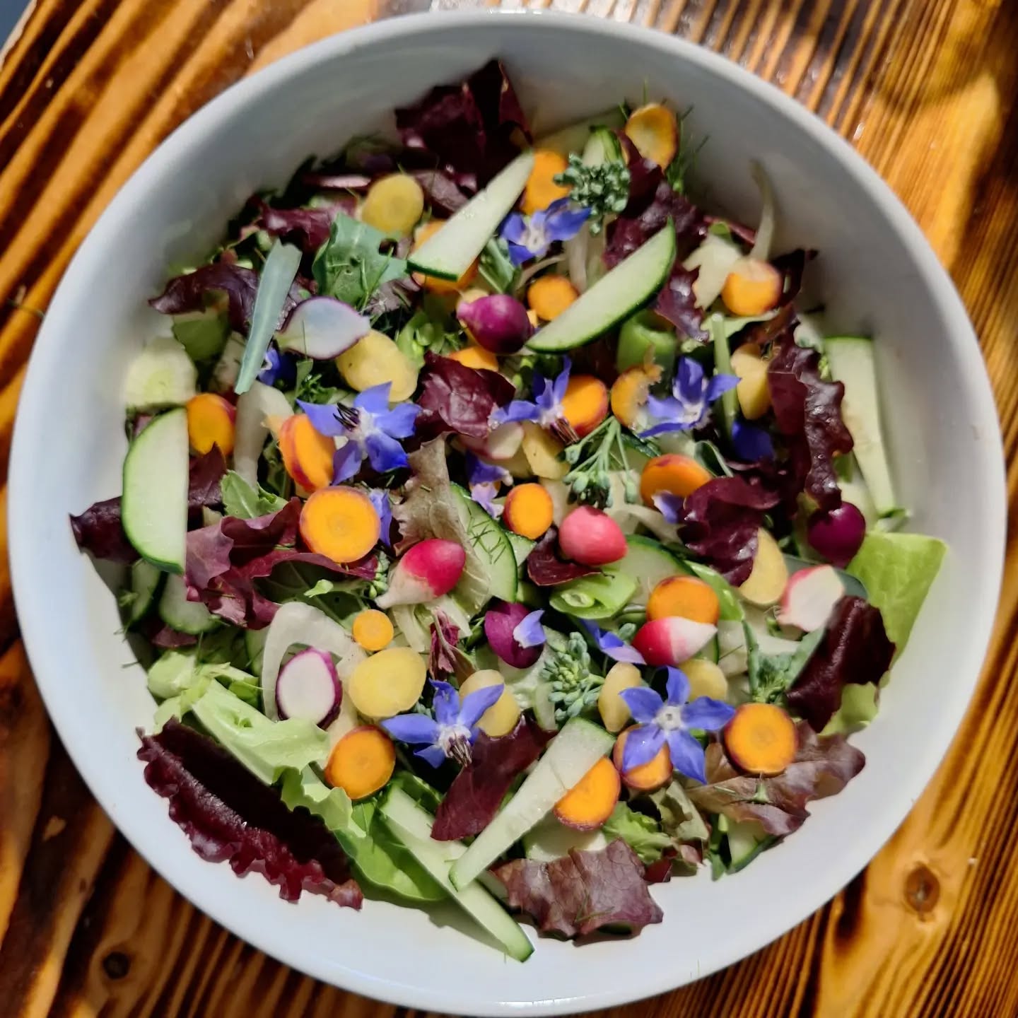 Beat the heat with some cool crunch! @pumpkinvinefamilyfarm
@newunionfarmersmarket
#mainefarming #mainefarmersmarkets #locallygrown #notill #sustainablefarming #edibleflowers #kailaan #magentaspreen