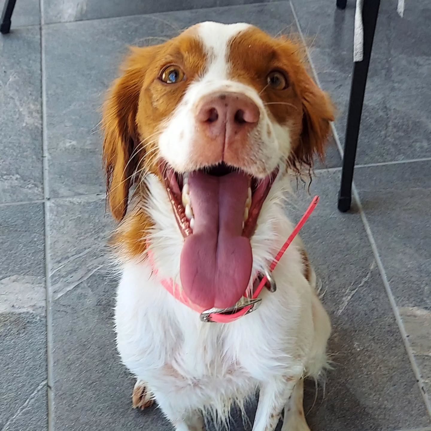 My favorite redhead 🥰