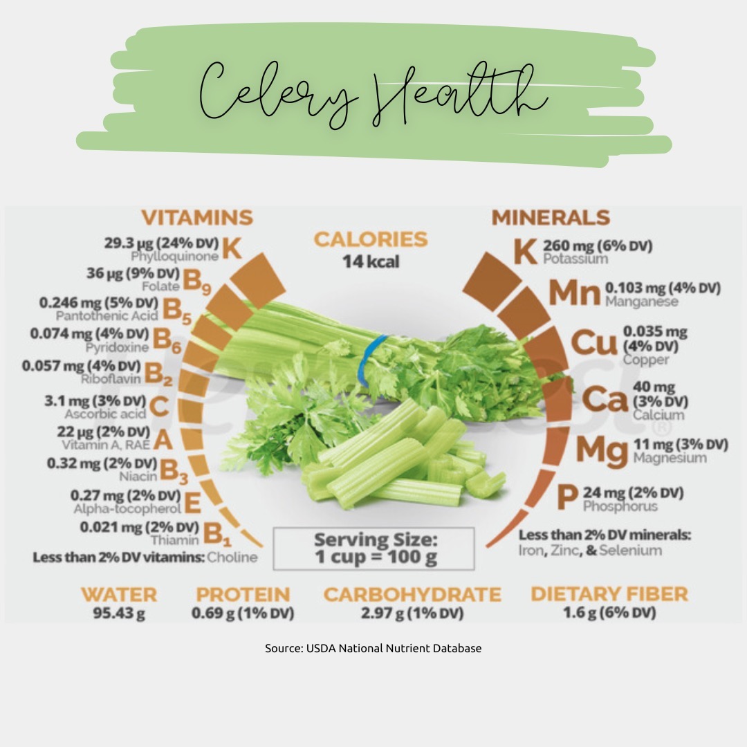 Summertime and Farmer’s Markets
One of my favorite summer vegetables from our local organic farmer’s markets and my own garden is celery. Celery is refreshing, aromatic, and has a hefty nutrient profile that goes great in smoothies, salads, fresh juices, or stuffed. One cup of celery has over 15 different nutrients!!
Did you know that more than 70% of the volatile compounds identified in celery are terpenes: Myrcene, Limonene, Ocimene, and Terpinene? Terpenes are aromatic compounds found in many plants. These aromatic compounds create the characteristic scent of many plants, such as pine, lavender, orange, and celery. Myrcene is earthy and calming, which offers celery’s therapeutic anti-inflammatory, antioxidant, and alkalizing effects on the digestive system.
To ensure your celery is clean from residues and pesticides, cut the end off a bunch of celery from your local organic farmer and continue to grow your own. I have enclosed directions and a picture of the one I started which is now in the ground. Enjoy!!
Be well ✨
#achsedu #holistichealth #healing
#liveyourtruestself #inspiration
#mentalhealth #resilience #wellness #selfcare #functionalnutrition
#womensupportingwomen #selflove #straffordnh #foodismymedicine
#wellbeing #nurturethyself #nanpofficial #holisticnutritionwellnesspractitioner