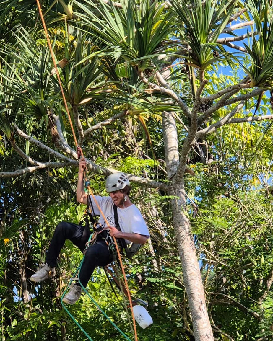 Minha jornada no mundo das podas começa aos 17 anos de idade, quando conheci um senhor chamado Ernst Götsch, fundador do conceito de agricultura Sitntrópica.
Uma agricultura de processos onde trabalhamos junto a vida, visando aumentar sua quantidade e qualidade, estabelecidas em cada interação com o Meio Ambiente.
Encantado pelo poder de criar vida no solo e o impulso de crescimento que a poda traz, busquei me especializar nas alturas.
Durante sete anos morei em Berlim na Alemanha onde participei de diversos cursos e especializações aprofundando o conhecimento sobre a biologia o cultivo das árvores e a importância do manejo e cuidados desses seres vivos.
Espero neste perfil poder compartilhar com o mundo um pouco da alegria e beleza que é viver junto a natureza.
🧗🌳🌴🌿🪵
My journey into the world of pruning began at the age of 17, when I met a man called Ernst Götsch, founder of the concept of Sitntropic agriculture.
A process agriculture where we work together with life, aiming to increase its quantity and quality, established in every interaction with the environment.
Enchanted by the power to create life in the soil and the growth impulse that pruning brings, I sought to specialize in the heights.
For seven years I lived in Berlin, Germany, where I took part in various courses and specializations, deepening my knowledge of the biology and cultivation of trees and the importance of managing and caring for these living beings.
In this profile, I hope to share with the world a little bit of the joy and beauty that is living close to nature.