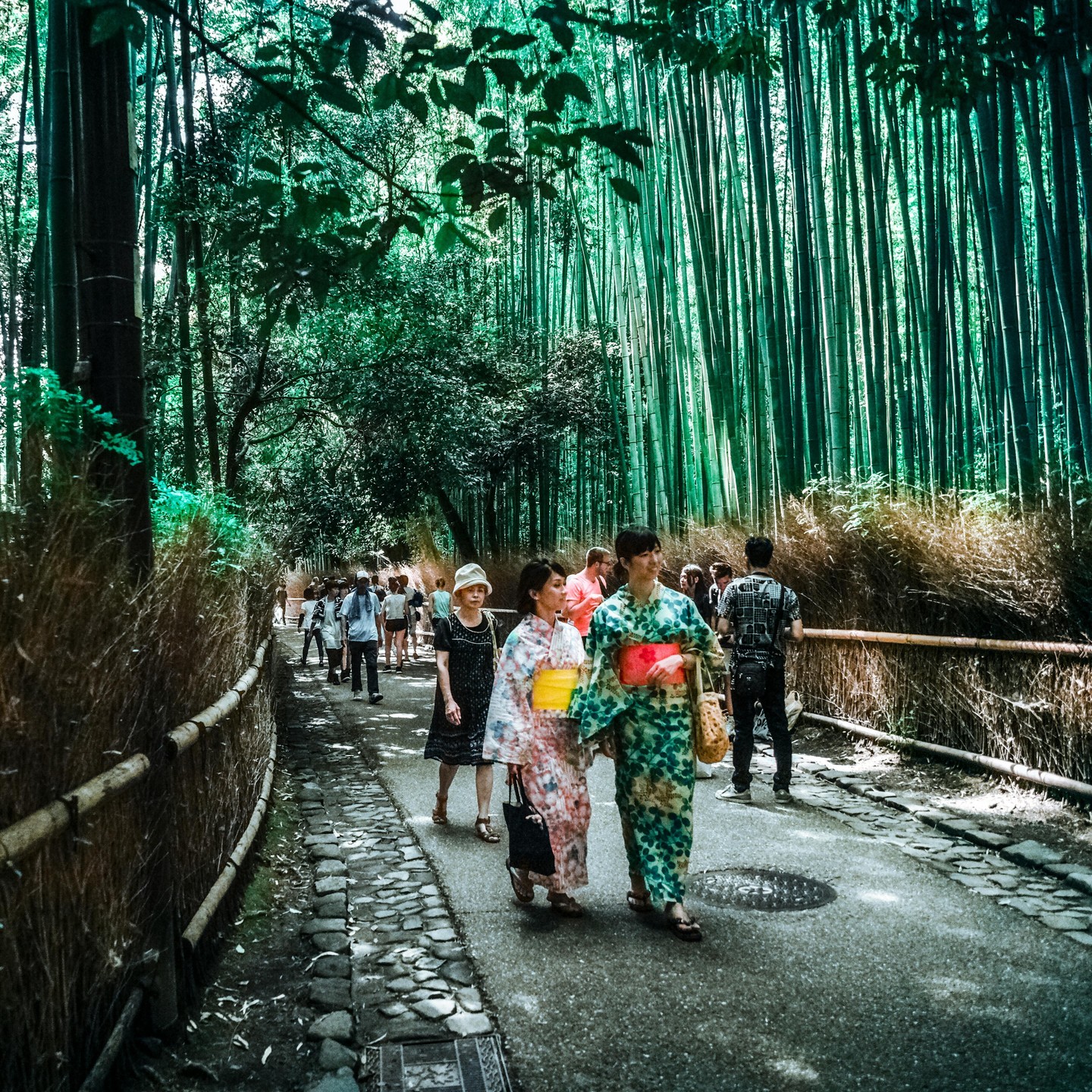 Located in the northwestern area of Kyoto, Arashiyama draws many visitors for its world-renowned bamboo grove and beautiful scenery that changes with each season. The area is dotted with temples, old imperial villas, and famous historical sites, many of which are National Treasures, or have been recognized as World Heritage sites. The entire region is designated by the Japanese government as a Place of Scenic Beauty.
.
The Arashiyama Bamboo Grove is one of Kyoto's most iconic sights, and a walk through it will be one of your most lasting impressions of this city. There's something almost magical about the light dappling on the forest floor. For maximum effect, approach the grove from the side gate of Tenryu-ji Temple .
.
An additional section of the grove extends to nearby Nonomiya Shrine, where kimono-clad young women come here to pray for a love match, while thick-calved rickshaw drivers pause to explain a bit of history to their riders.
.
.
嵐山位於京都的西北一帶,其世界聞名的竹林和隨季節變化的美麗風景吸引了眾多遊客。這裡散佈著寺廟、古老的皇家別墅和著名的歷史古跡,其中許多都屬於國寶級,甚至是公認的世界遺產。現在整片地區都已被日本政府指定為風景名勝區。
.
其中嵐山竹林是京都最具標誌性的景觀之一,小徑不長,卻足以讓您感受竹林之美。斑駁的光影落於林間地面,仿佛有種不可思議的魔力。想要充分感受這一奇特的景觀,請從天龍寺 的側門進入竹林。
.
竹林的另一頭延伸至附近的野宮神社。身穿傳統和服的年輕女性會來此處祈求良緣,身強體壯的人力車夫也會在此停下,向乘客講述一些歷史故事。
.
.
.
.
.
.
#japanguide #triptojapan #travelinjapan #visitjapanjp #visjtmyjapan #jntosg #visitjapanphillipplines #jntoid #visitjapanAU #japanrevealed #travelgraphy #travelgram #traveling #trending #japanese #instagram #kyoto #arashi #bamboogrove #arashiyamabambooforest #嵐山竹林