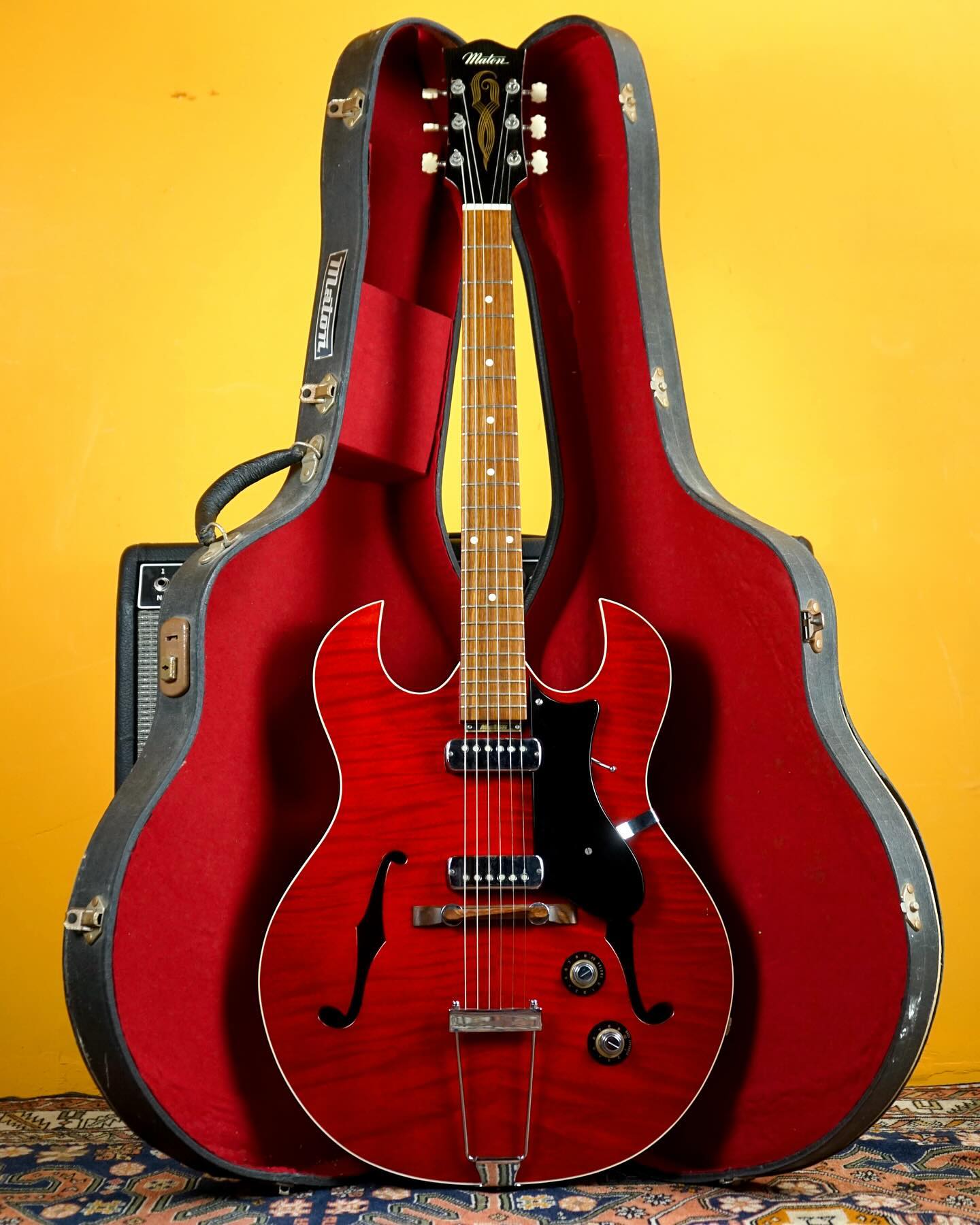 Delightfully devilish, Seymour.
A 60s Maton DC 545 model thinline hollow body, made in Australia 🇦🇺
This is my first experience with Maton and it’s been a wonderful one. The timbers available to Australian builders during this period are unparalleled - just look at that beautiful, flamed maple top.