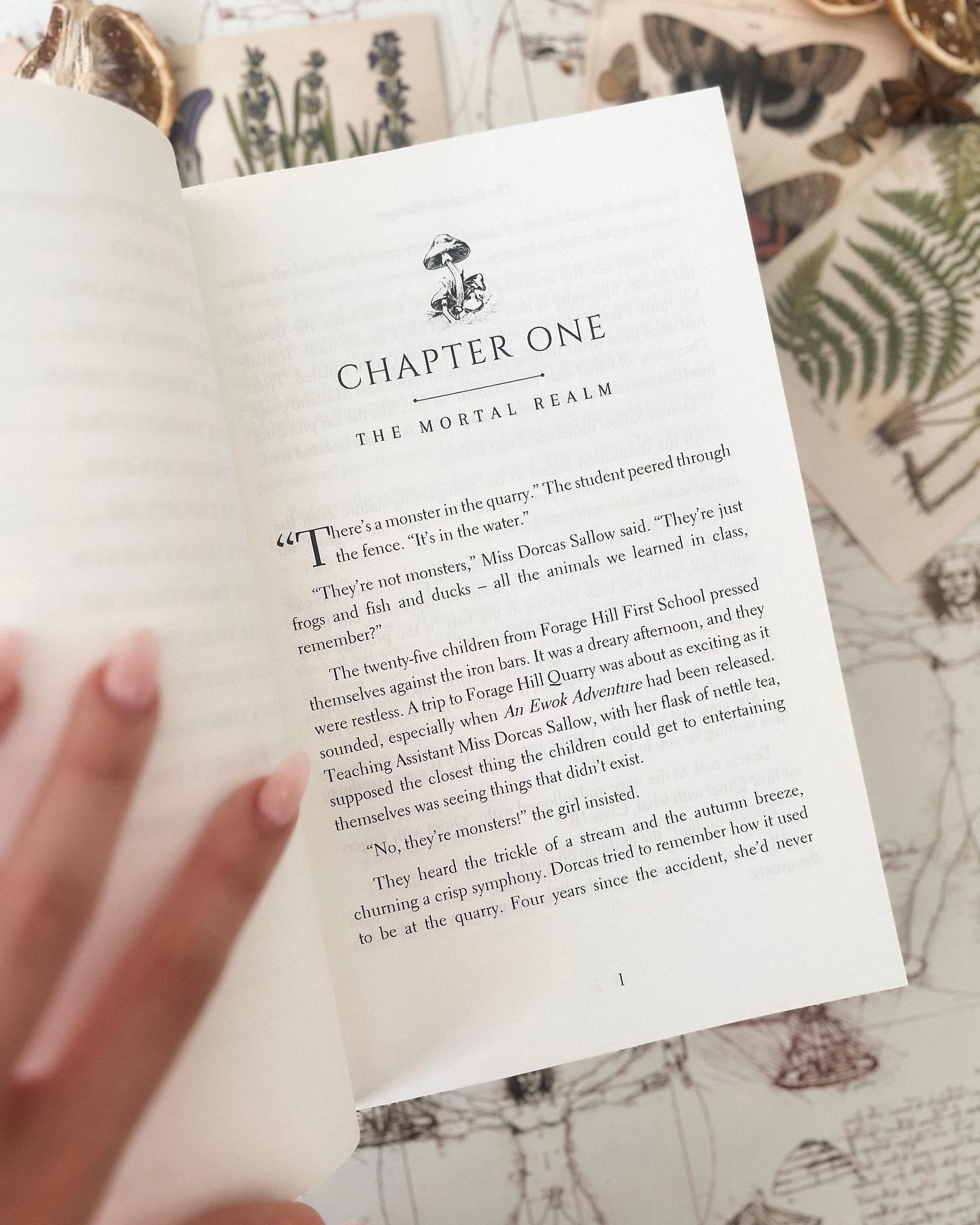 ๐ pretty chapter titles
I hope youโre all having a lovely day! I was going to just post a cover today (thatโs still coming!) but I felt like posting some beautiful chapter titles too, along with a life update!
๐ Iโm currently reading:
I started Wager yesterday and I am absolutely loving it. I was hooked from the first pages so I can tell this is going to be a top read for me.
๐บ Iโm currently watching:
Iโm between rewatching a lot at the moment, mostly watching childhood shows - Merlin, Attack on Titan, Buffy (though i didnโt realise how weird Angel is).
๐ถIโm currently listening to:
Smokestacks by Layla
I literally listen to the same song on repeat for hours when writing. Anyone else?
โจLooking forward to
@bindery_books #pitchfest #binderypitchfest
I canโt wait to send off my secret WIP๐ฉโ๐ป
Question:
โข can anyone recommend fantasy with a female mc with Dermatillomania?
.
.
.
.
.
.
#endpaperart #specialedition #fairyloot #thegirlwhofellbeneaththesea #axieoh #fantasy #bookrecommendations #bookworm #bookstagram