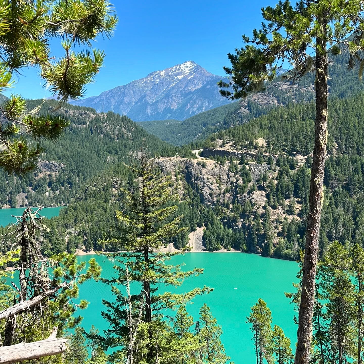 Still blown away by the color of these alpine lakes. They’re like the Disney version of nature.
If you’re keen on a shortish kid & dog friendly summer hike, check out Thunder Knob trail in North Cascades NP.
At 3.4 miles RT and 675 feet elevation gain, this is a pretty quick jaunt for the epic views of Diablo Lake it provides. Lots of switchbacks but much more gradual than the Oregon hikes we’ve posted over on thefuturewild.com, if you’re looking for a point of comparison.
More trip itineraries and hike coverage over there soon, we promise!
Trail notes: there’s very little shade on Thunder Knob so try to avoid going mid-day. The only part of this hike that garnered complaints was how toasty it was—but we got off schedule and ended up hiking at noon on one of the rare 90+ degree days in Northern Washington so just don’t do that! Also, as always, being more water than you think you need, especially in summer and consider packing a picnic for the viewpoint at the top.
Happy adventuring!
Xx
The future, wild
.
.
.
.
.
.
#summerhikes #northcascades #nationalparks #getoutsideandplay #pnw #pnwonderland #pnwcollective #exploremore #thefuturewild