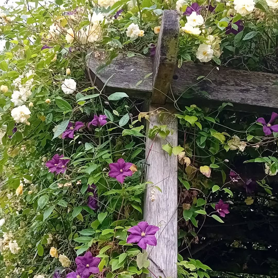 A couple of great colour combos.