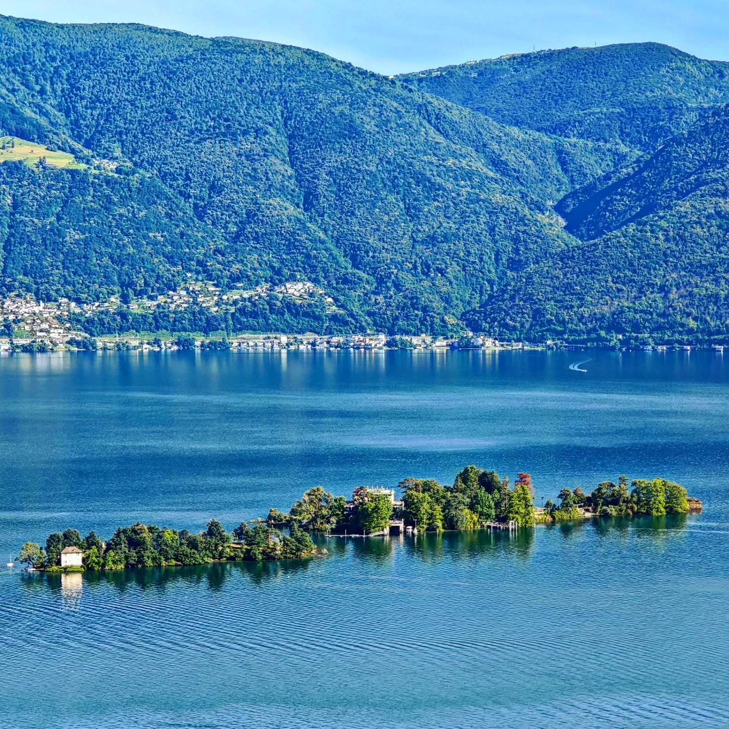 **English:**
The Brissago Islands are a true paradise on July 1st. With breathtaking views of the majestic mountains and a visit to the lush botanical garden, the islands offer an unforgettable experience. The variety of exotic plants and the tranquility of nature invite you to relax and enjoy the moment.
**Deutsch:**
Die Isole di Brissago sind am 1. Juli ein wahres Paradies. Mit atemberaubenden Blicken auf die majestätischen Berge und einem Besuch im üppigen botanischen Garten bieten die Inseln ein unvergessliches Erlebnis. Die Vielfalt der exotischen Pflanzen und die Ruhe der Natur laden zum Entspannen und Genießen ein.
**Italiano:**
Le Isole di Brissago sono un vero paradiso il 1° luglio. Con viste mozzafiato sulle maestose montagne e una visita al rigoglioso giardino botanico, le isole offrono un'esperienza indimenticabile. La varietà di piante esotiche e la tranquillità della natura invitano a rilassarsi e a godersi il momento.
#brissago #brissagoislands #visitbrissago
#visitticino #ticino #ticinoturismo #switzerland #switzerland🇨🇭 #travel #swiss #swissriviera #brissago4u #lake #boat
#fineartphotography
#swissalps #swissculture #loves_united_switzerland #switzerlandwonderland #got_greatshots #planet_earth_shots #suissebook #discoverthealps #discoverswitzerland
#mybrissago
@mybrissago
@lidobrissago
@tcbrissago
@bahiabrissagosnackbar
@cantina.giromit
#cantina.giromit
@aziendavitivinicolachiappini
#aziendavitivinicolachiappini