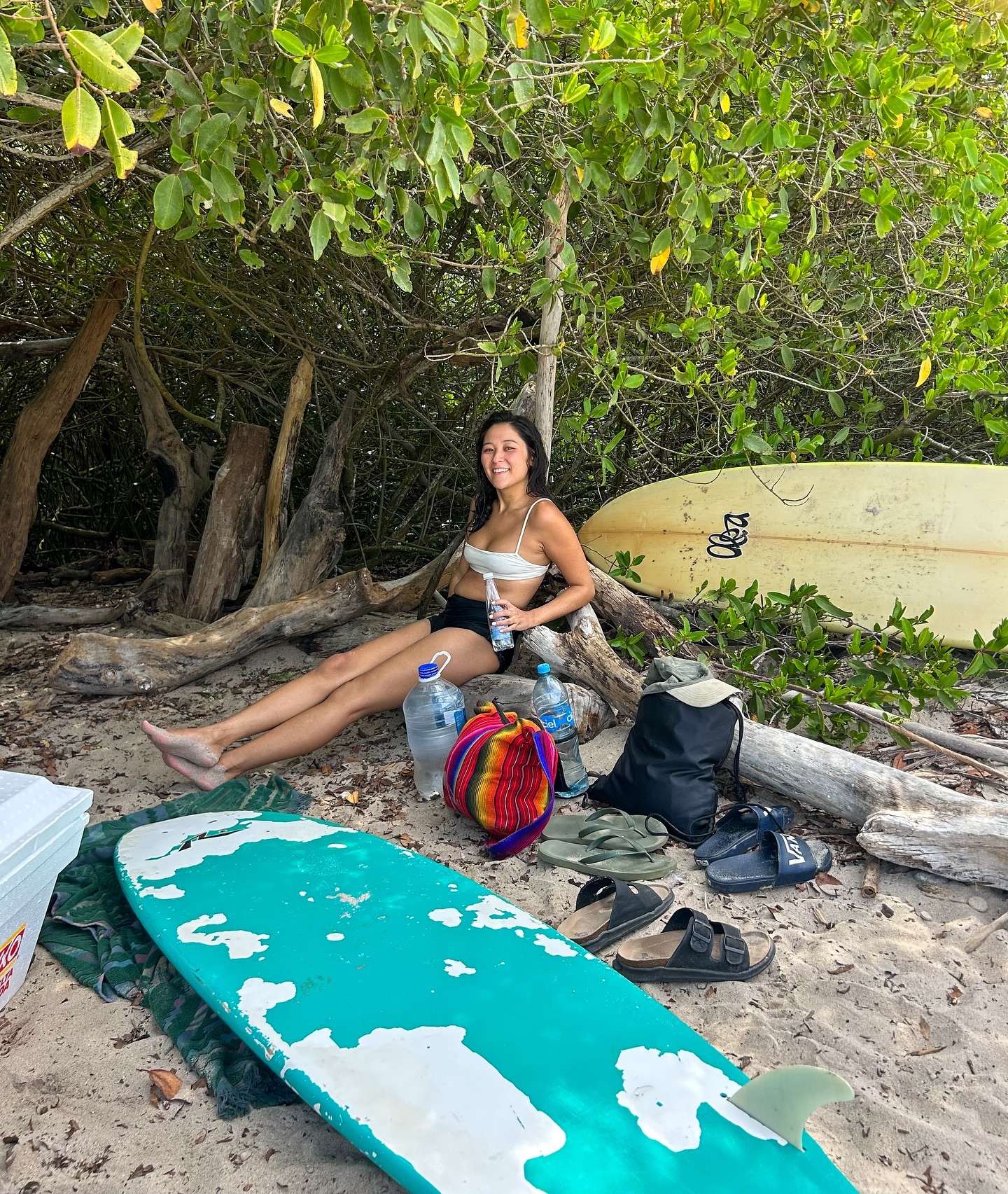 ¡Vamos a la playa! 🐚