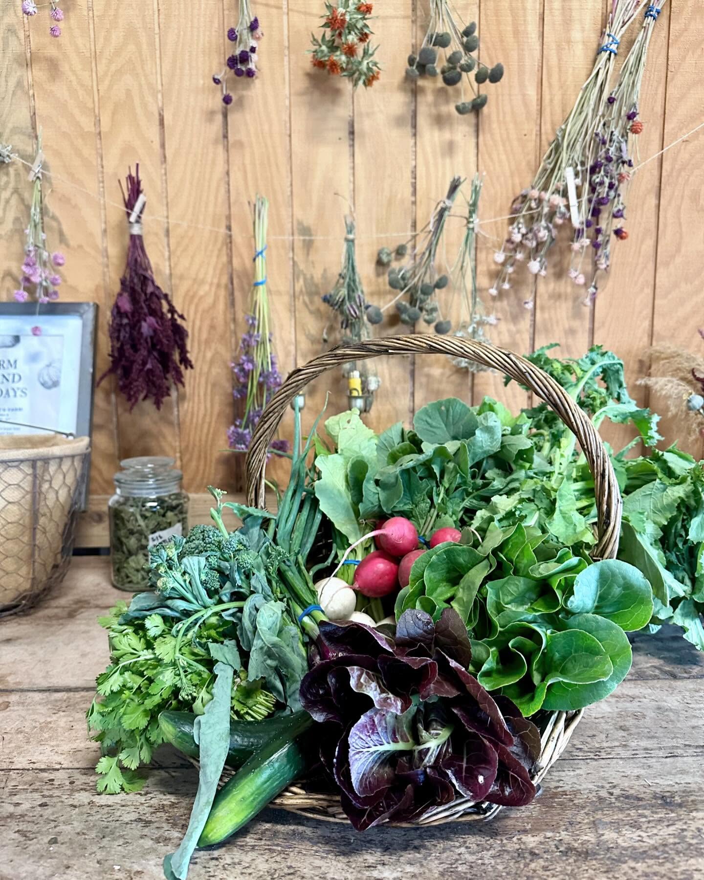 📣 ANNOUNCEMENT 1📣 You asked, and we heard. If you can’t wait to get our produce till the Friday Farm Store is open, you can now order online and pickup Wednesdays! Our online store will be open for ordering from Saturdays at 10am to Tuesdays at 5pm. Pickup will be on Wednesdays from 12pm-4pm at the farm. Click the link in our bio to find the online store 💚