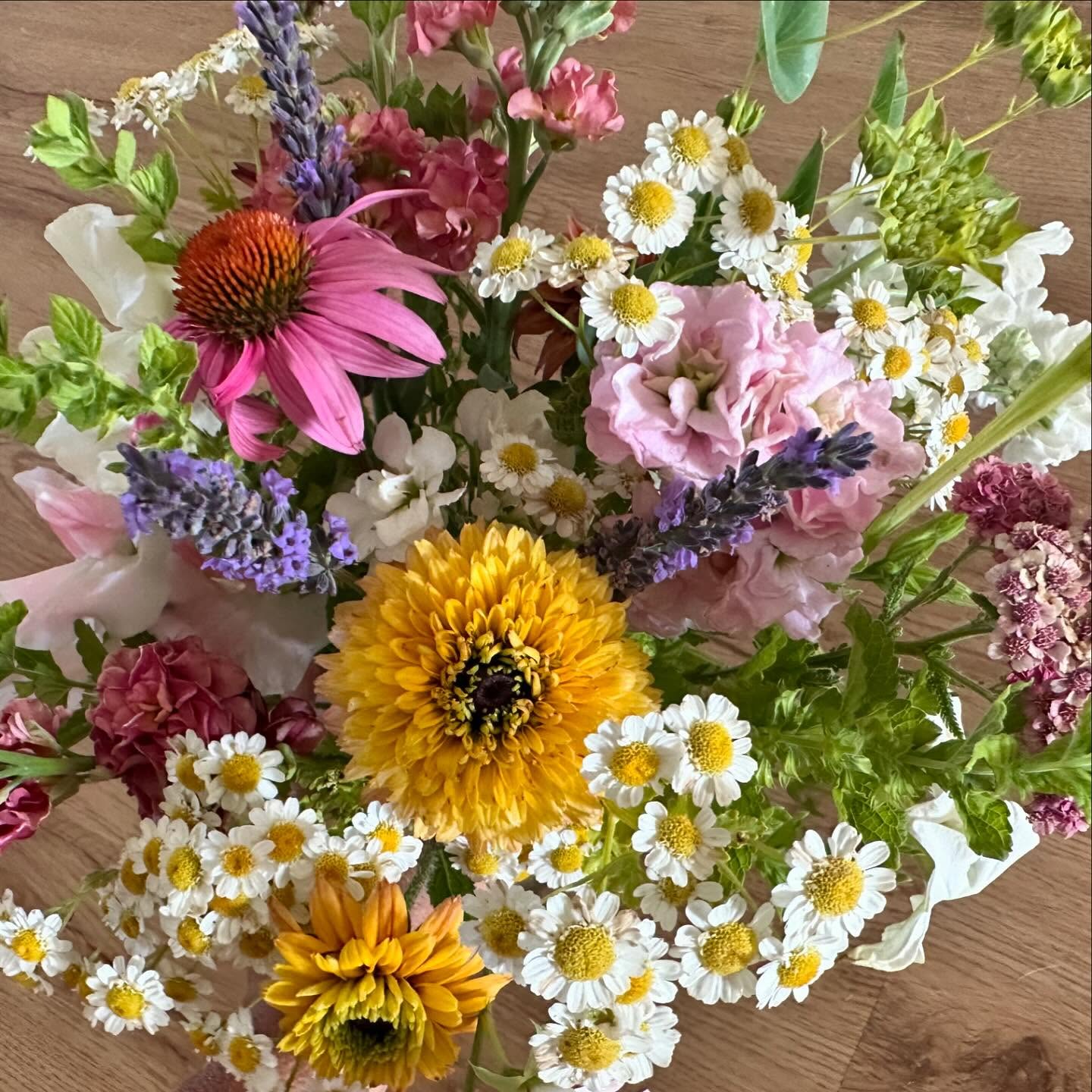 I have to admit, I always panic this time of year because my cool-season flowers are looking a little rough but the hot-season stuff isn’t quiiiiiiite there yet. But then I start cutting and it all seems fine again. Here’s to the real mid-season flower heroes! #wellgrownfarm #wellgrownflowers #localflowers