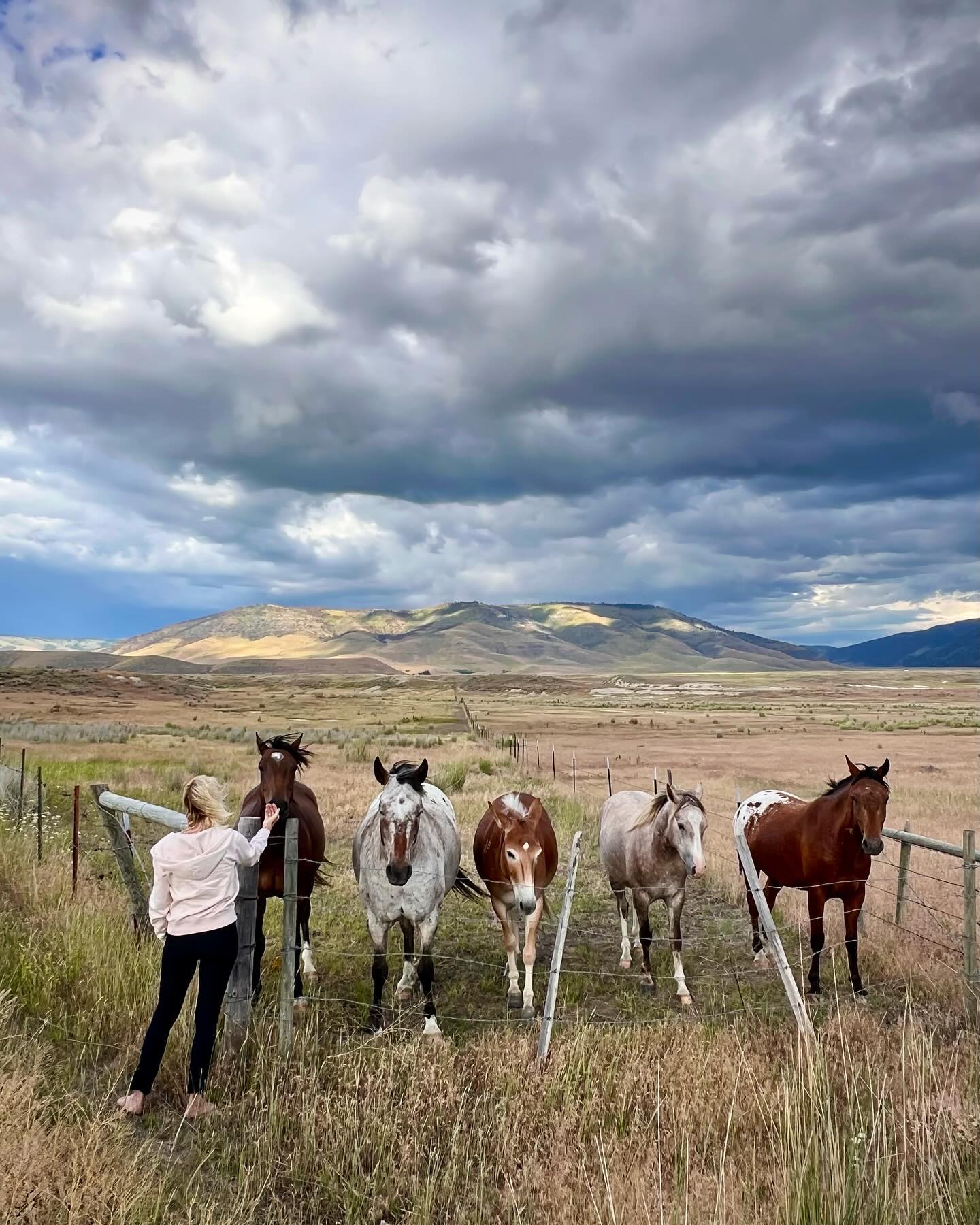 Wild Horses 🤎🖤🤍
PC @mrhardy
#montana