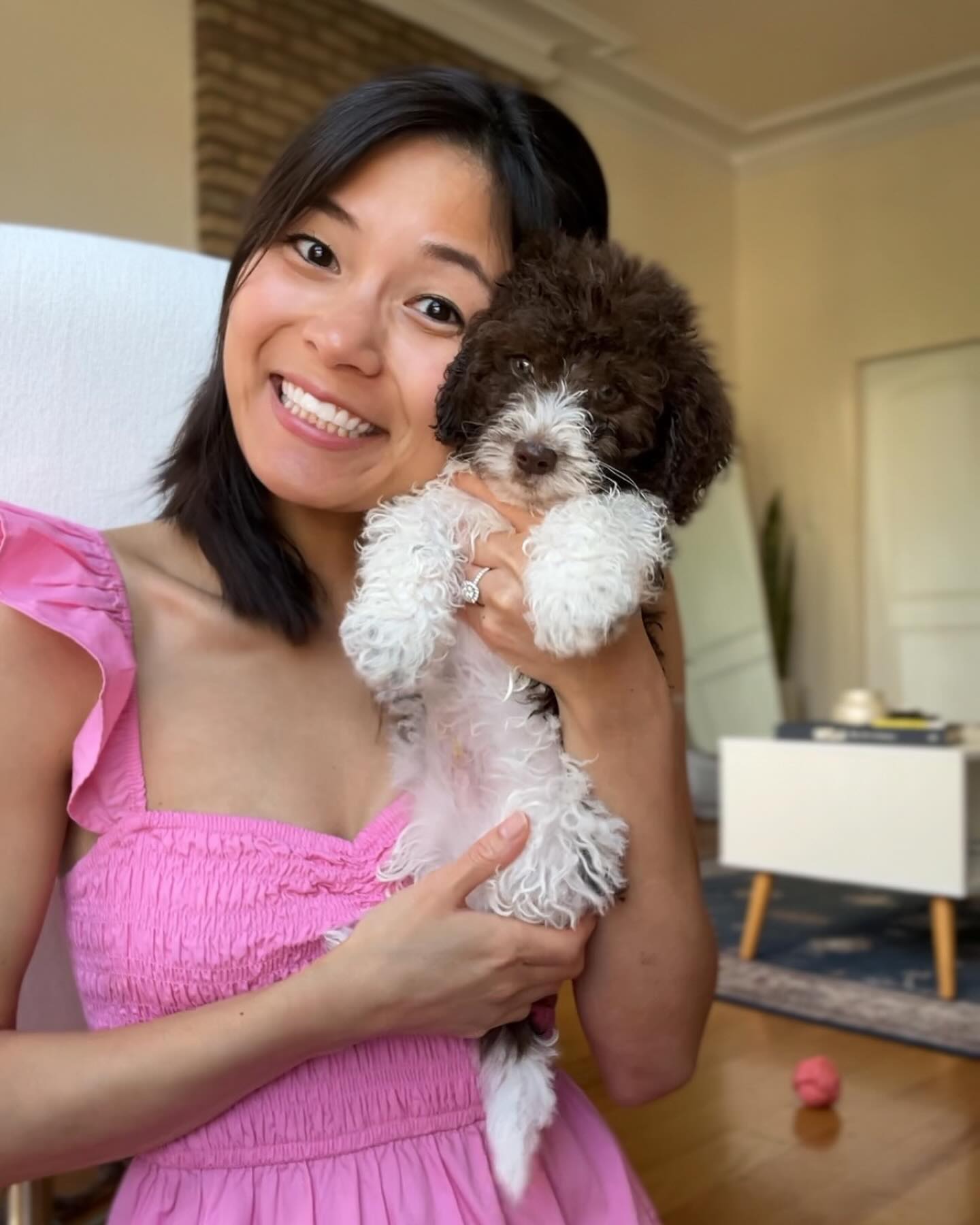 meet Carmy Cosgrove 🤎🤍
@cosgroovy & I’ve been busy embracing new puppy parenthood the last few days, but we love him so much already!!! 🐾