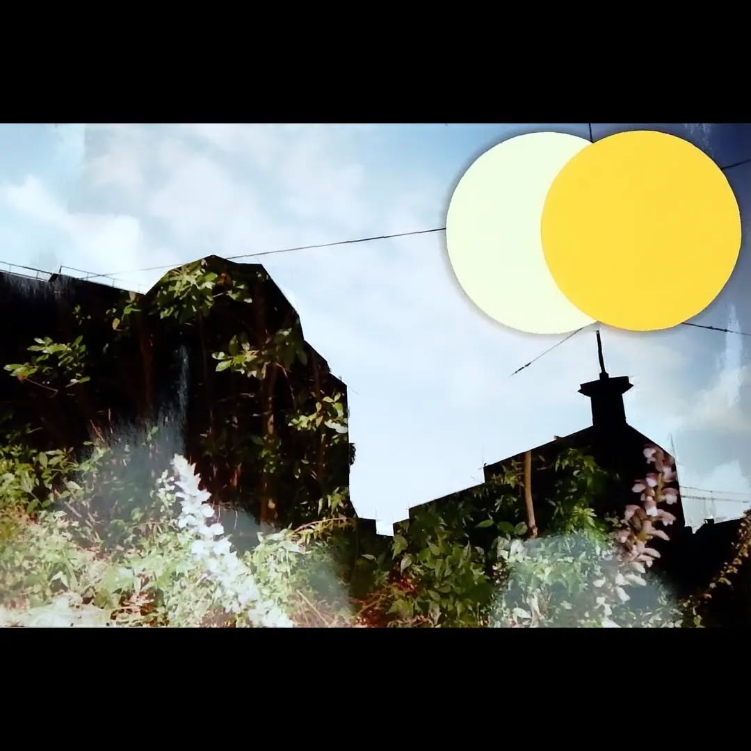 You can find those two artworks @schlassgoart for the fundraising exhibition by @plooschterprojet until 27th of July.
1: Jungle Eclipse, 3D analog photo collage, 10x15cm (18x23cm framed), 2024
2: Sakura Eclipse, 3D analog photo collage, 10x15cm (18x23cm framed), 2024
#art #photography #nikonaf200 #analog #Lëtzebuerg #luxembourg #konscht #artist #sakura #nature #architecture #artist