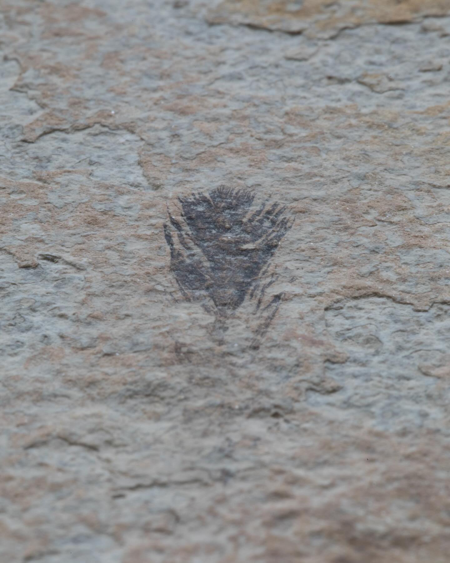 #science #electronmicroscope #laboratory #scienceart #sciencephoto #scientific #scienceweek #research #lab #micro #microscope #microscopy #medicine #medicalsciencestudent #medicalstudent #macrophotography #mineralomics #bio #biology #bioimaging #biologylab #minerals #chemistry #material #engineering #physics #sciencecommunication #ucl #Mineralomics