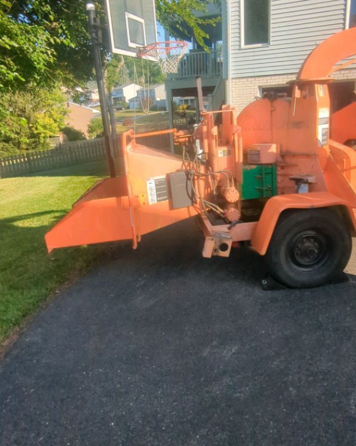 Mulberry tree removal and stump grinding in South Fayette, Pennsylvania #treeservice #treeremoval #treepruning #stumpgrinding #arboristsofinstagram