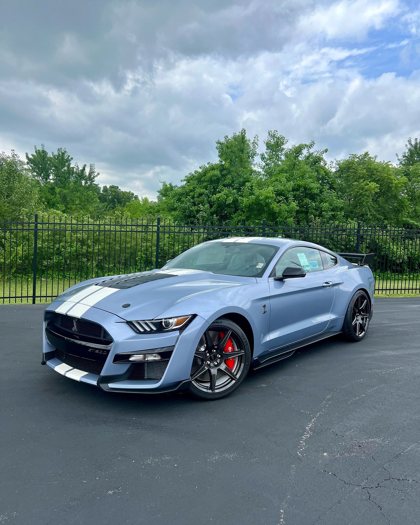 a bit of june 🫶🏼
.
#ShelbyGT500 #GT500 #FordGT #GT40 #Bahamas #Caribbean #Bimini