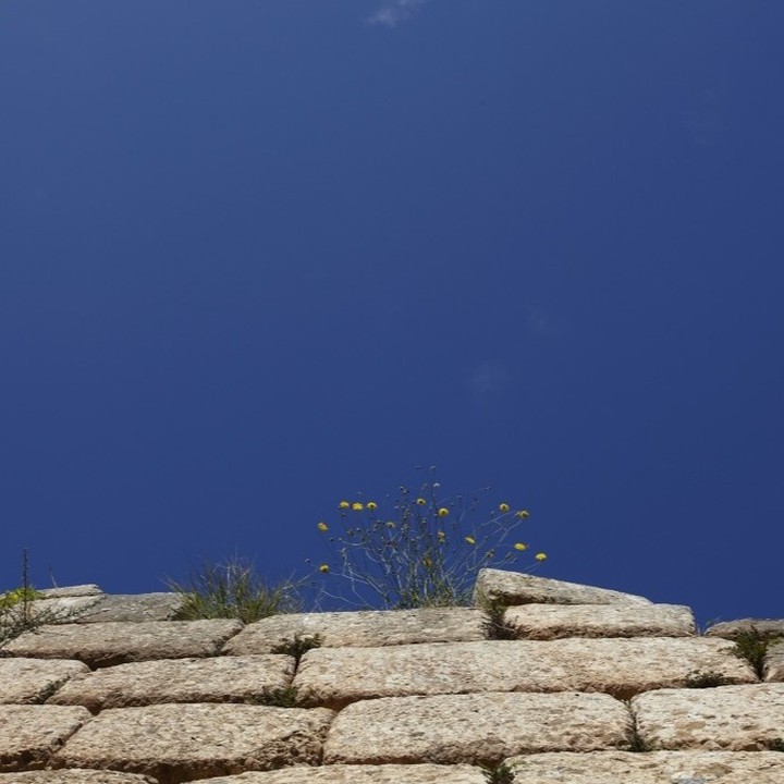 absolute blue_absolute summer
camara.nafplio.greece
#camaraworkshop #camara
#beautifulGreece #nafplio
#jewelry #art #silvergold
#designjewelry #handmadejewelry