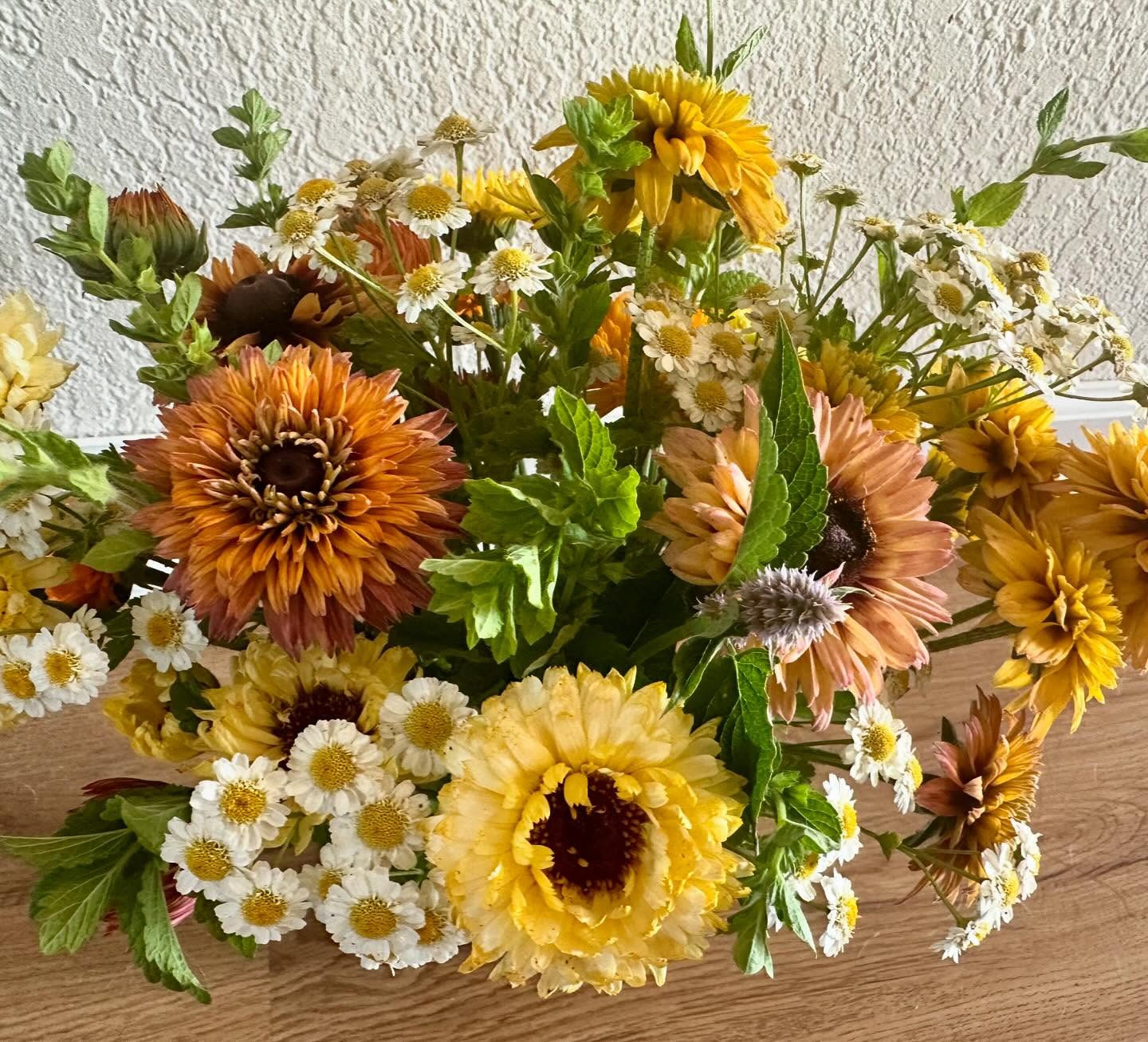 Rudbeckia + Calendula + Feverfew + Lemon Balm = Summertime. #wellgrownflowers #wellgrownfarm #localflowers