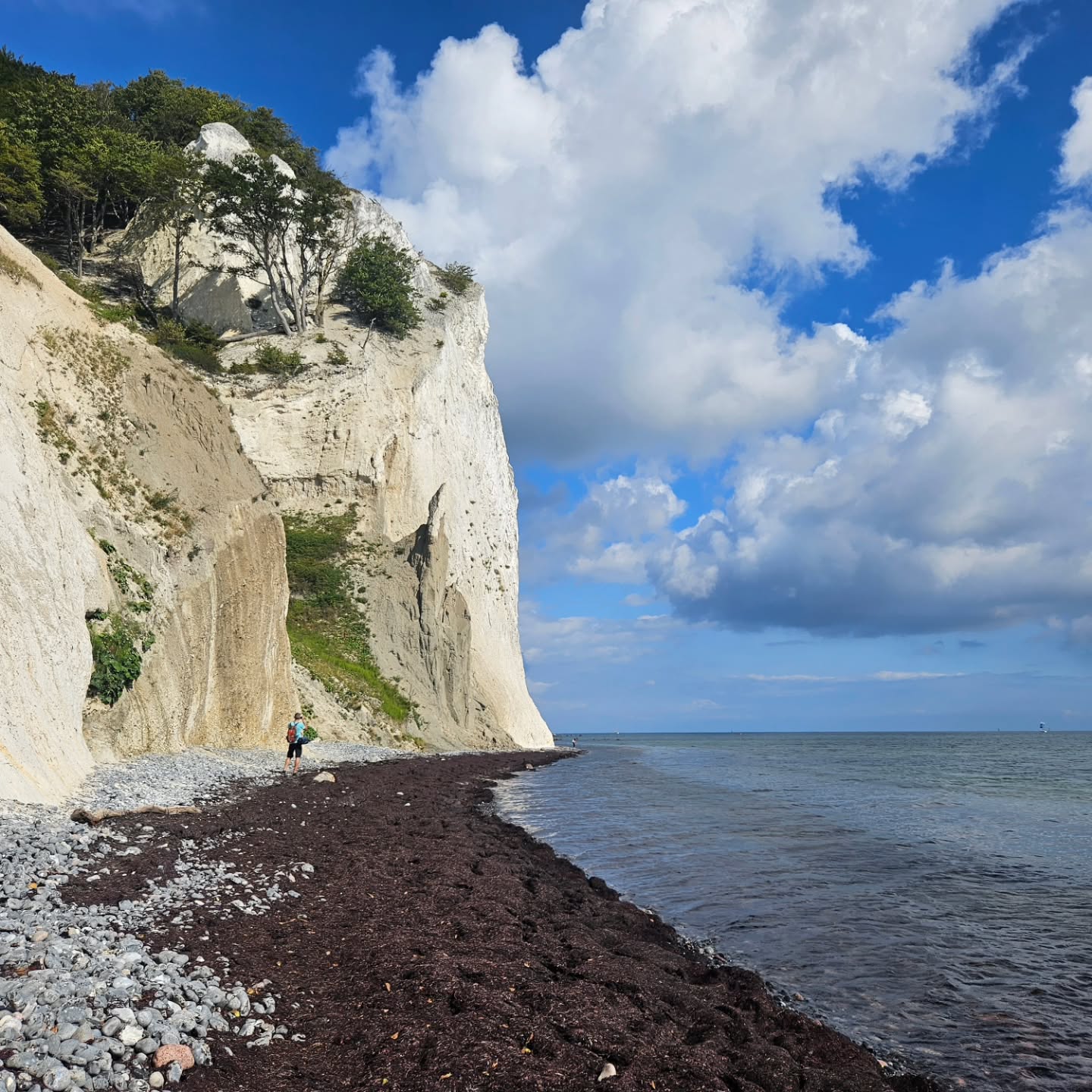 Dreamy Denmark 🇩🇰
There's something special about a country that has it all! Check out our newest blog post for ideas to include on YOUR most epic trip through Denmark.
✔️ Great food, wine, & beer
✔️ Historic museums and sites
✔️ Hiking through troll forests and heather fields
✔️ Constellation viewing
✔️ Amusement park rides
✔️ Blue water and sandy beaches
✔️ The most delicious pastries
.
.
.
.
#traveltheworld #twogirlsgetaway #girlslovetravel