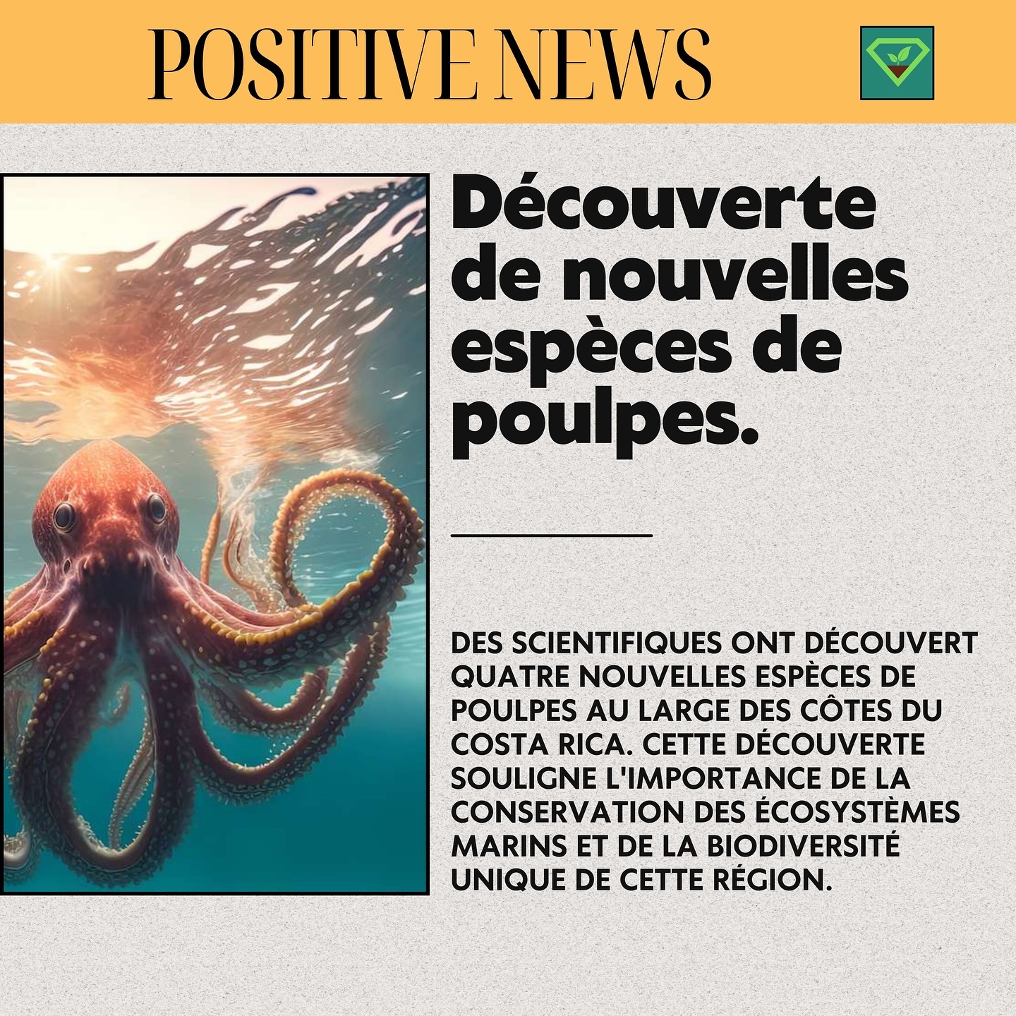 #savoir#histoire#insolite#lesaviezvous#greenisyou#info#culturegenerale#nouvellespositives#poulpe#pieuvre#costarica#nouvellesespeces#ecosysteme#biodiversité#viemarine#ocean