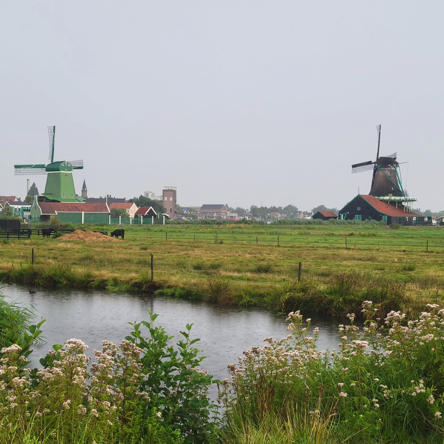 Who's up for a solo adventure through Amsterdam and the Dutch countryside? Visit our blog for some of the best sights to see in just 4 days!
.
.
.
.
#traveltheworld #twogirlsgetaway #girlslovetravel #solotravel #amsterdam #thenetherlands🇳🇱 #canals #cheese #vangogh
