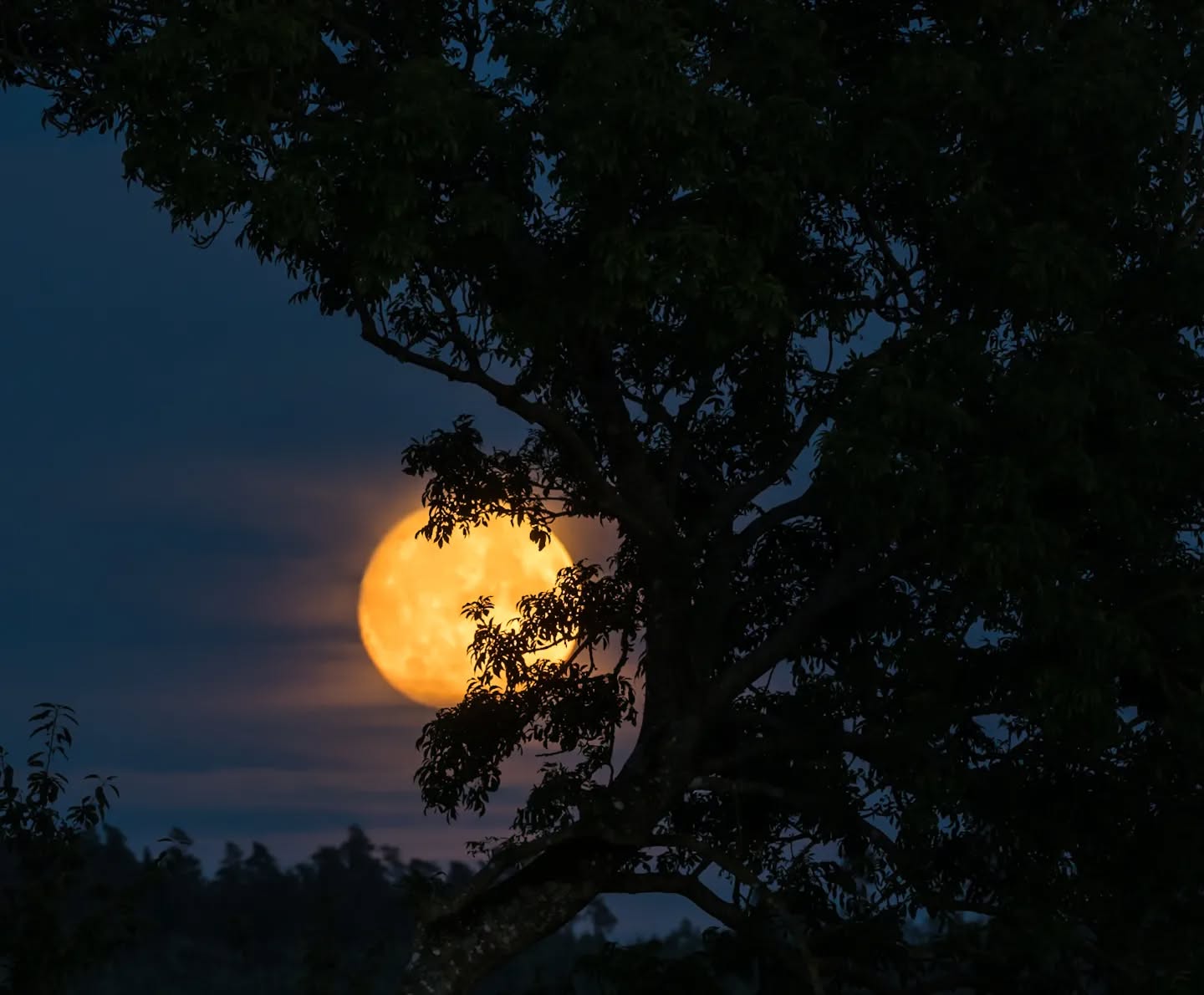 Nearly full moon yesterday.
#innature
#innaturephotos
#moon
#fullmoon
#nightlights
