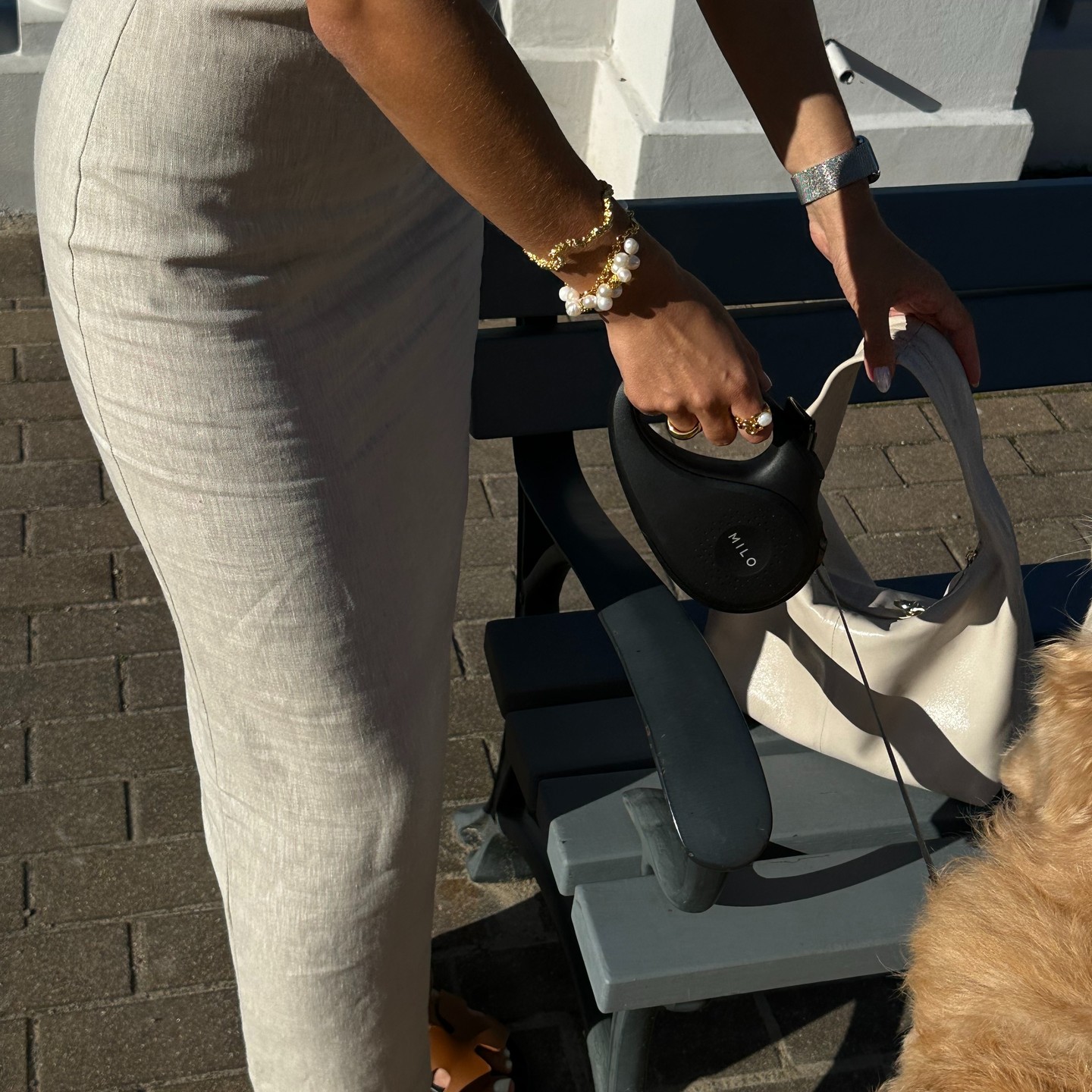 Summer in style with Milo! 🔅
#Miloleash #dogwalk #walkthedog #Summertime #dogaccessories